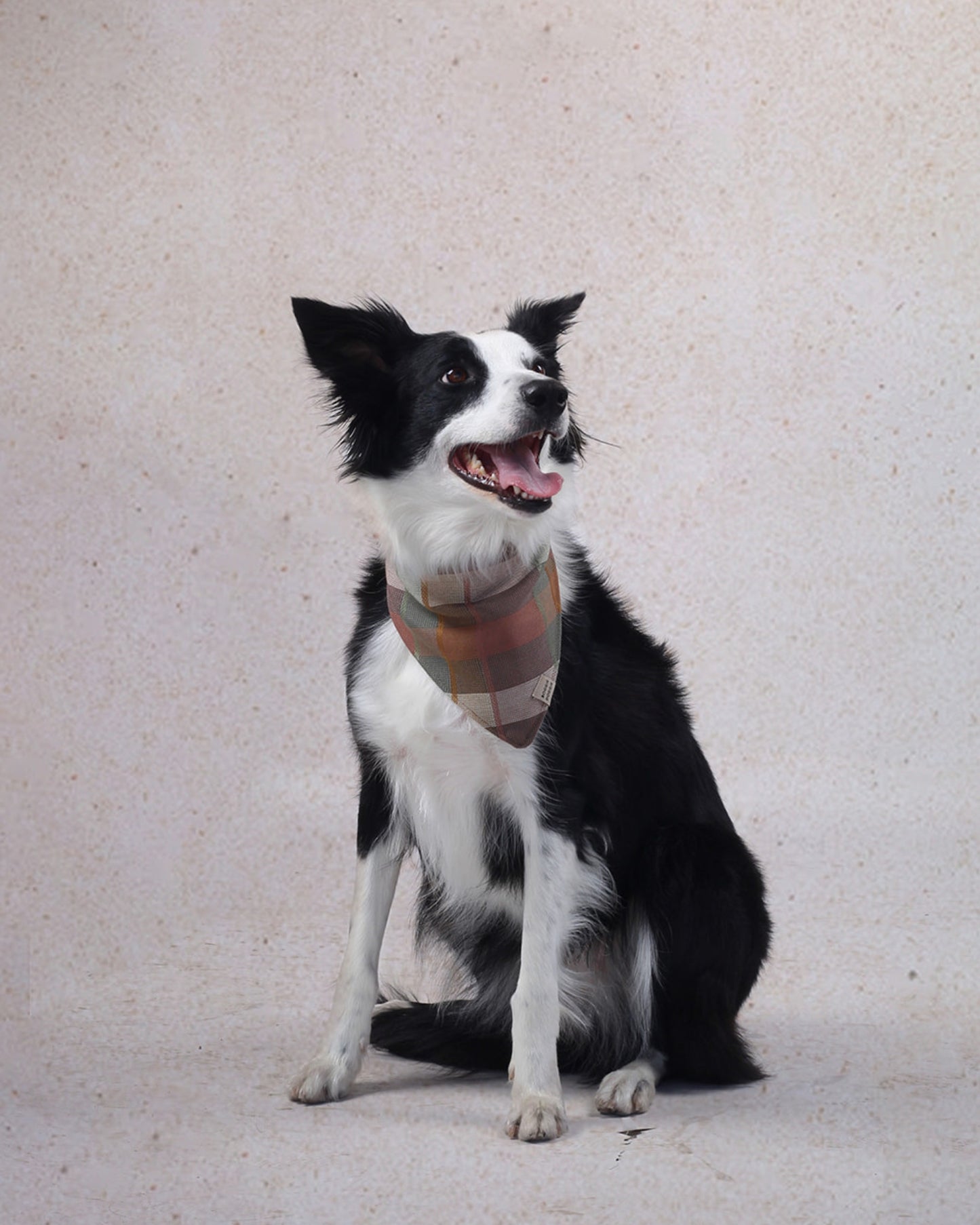 Bandana de Cuadros Desierto