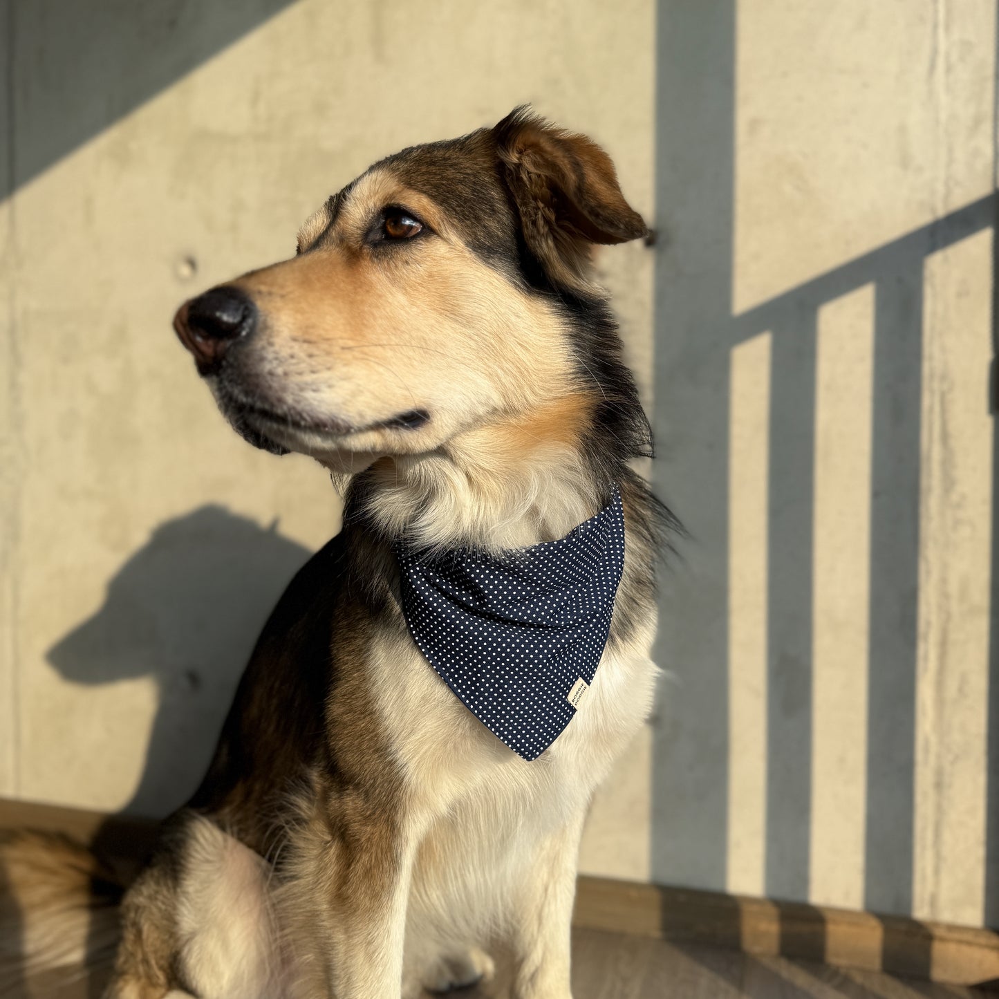 Bandana Azul marino con Lunares