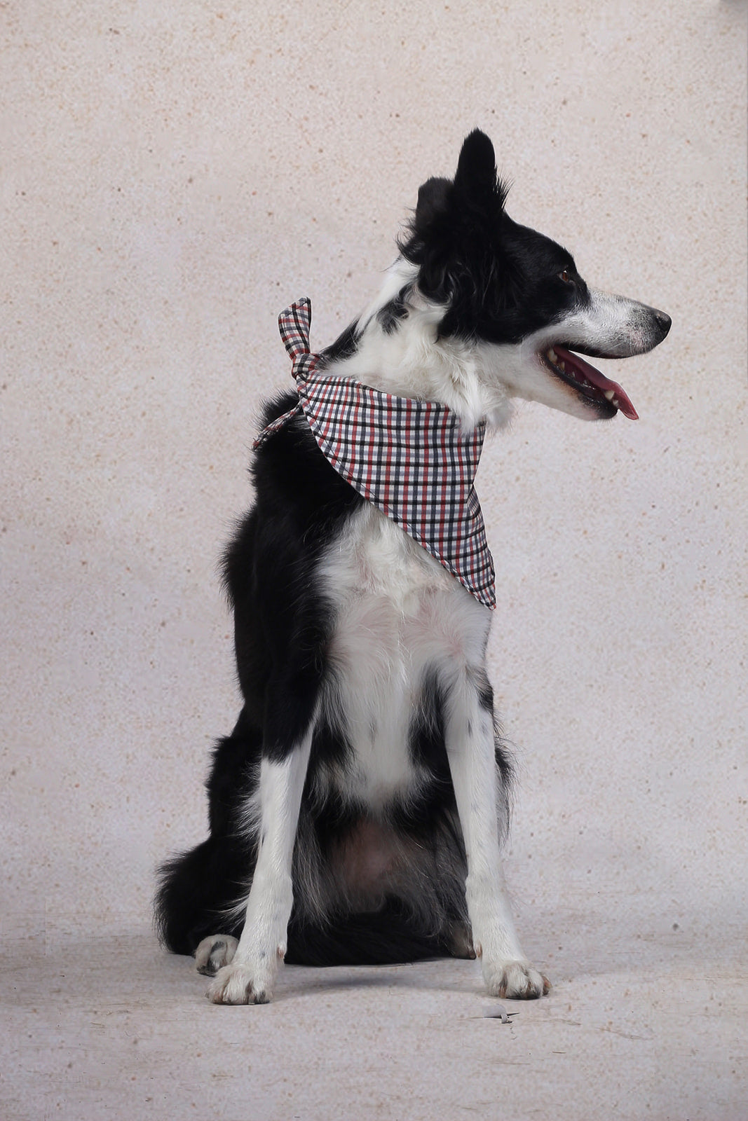 Bandana de Cuadritos negro, gris y rojo