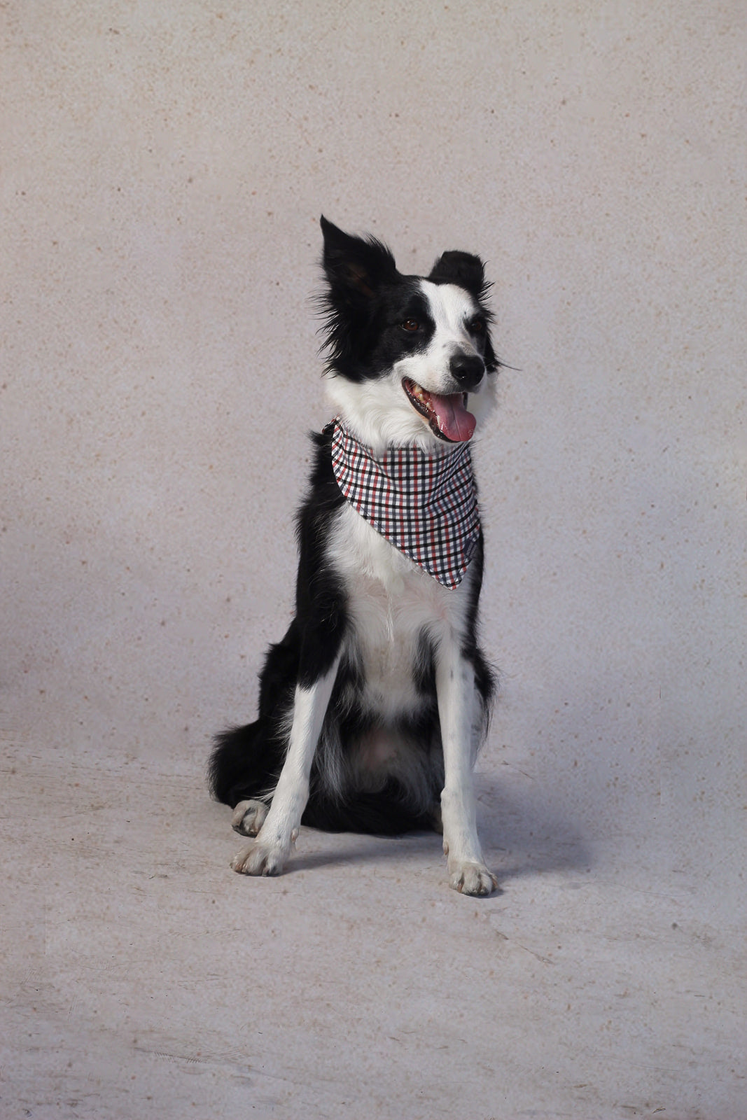 Bandana de Cuadritos negro, gris y rojo