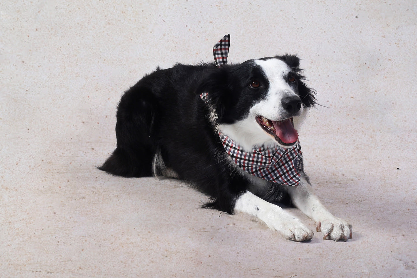 Bandana de Cuadritos negro, gris y rojo