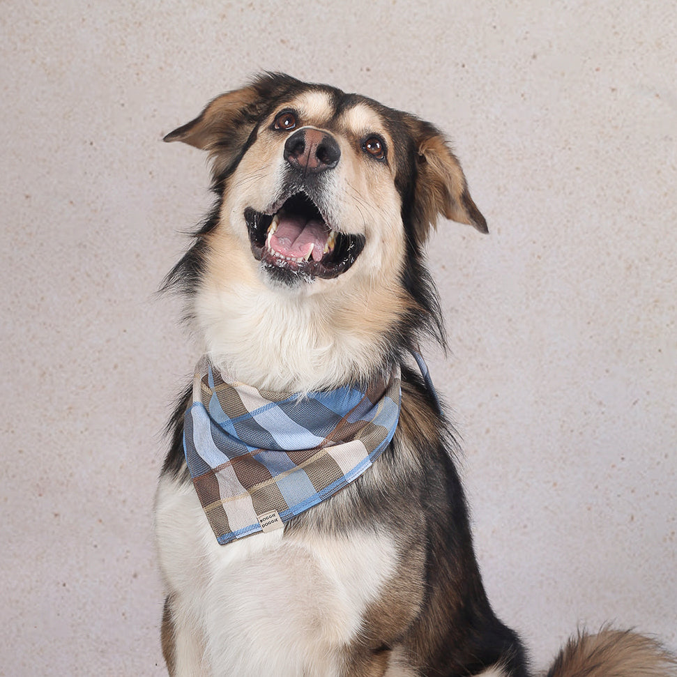 Bandana de cuadros Tierra y agua
