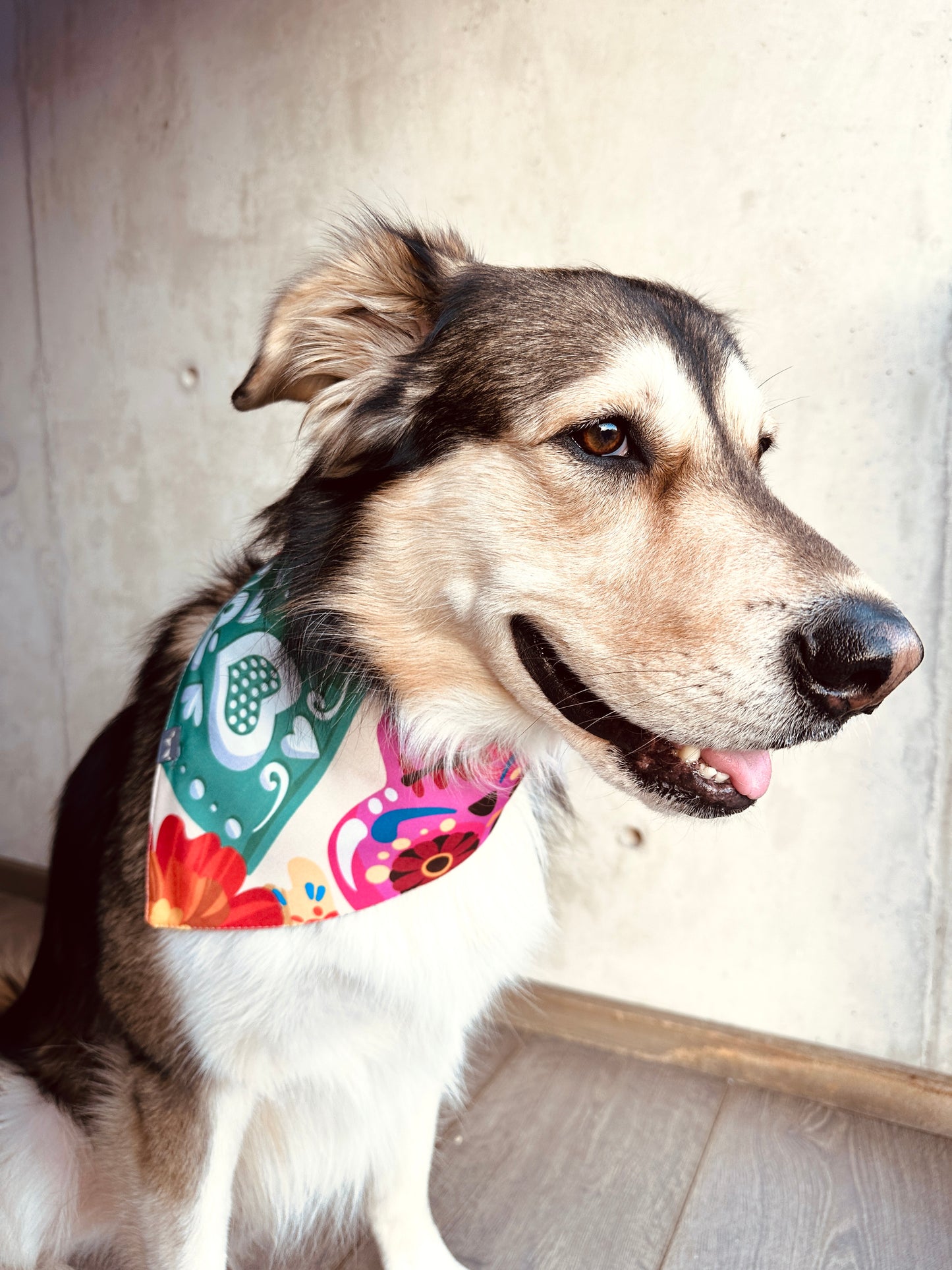 Bandana de Calaveras y papel picado