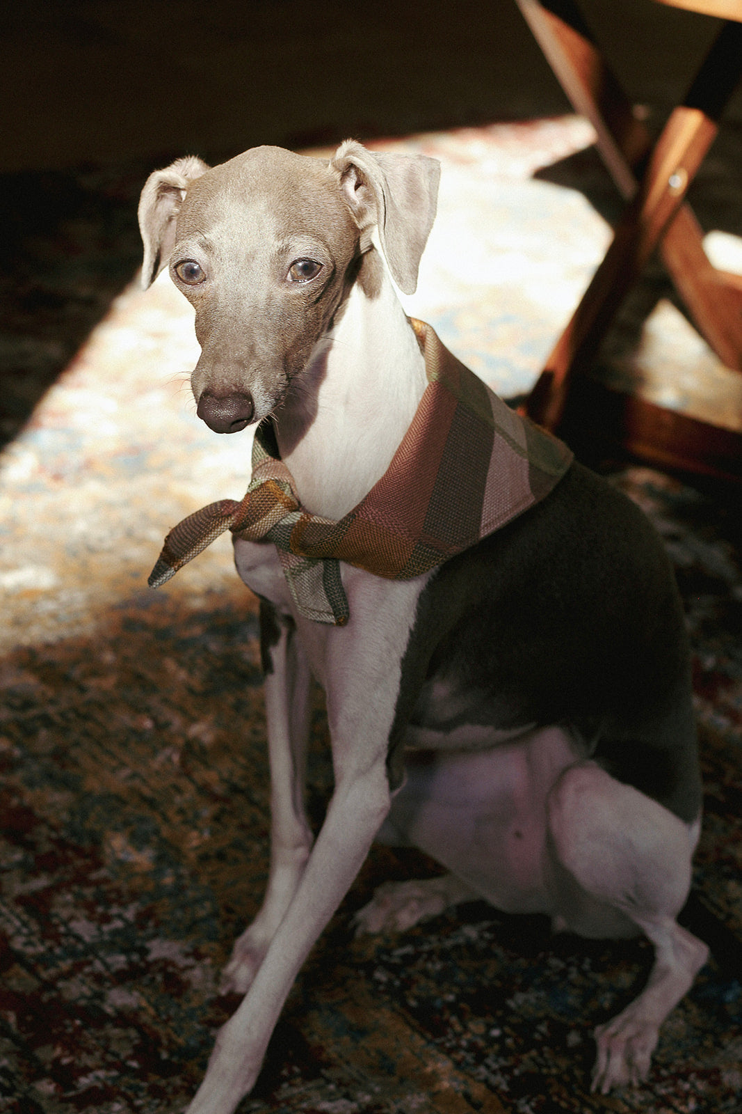 Bandana de Cuadros Desierto