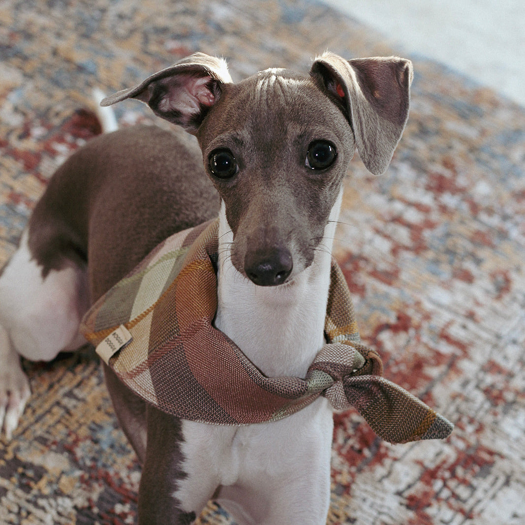 Bandana de Cuadros Desierto