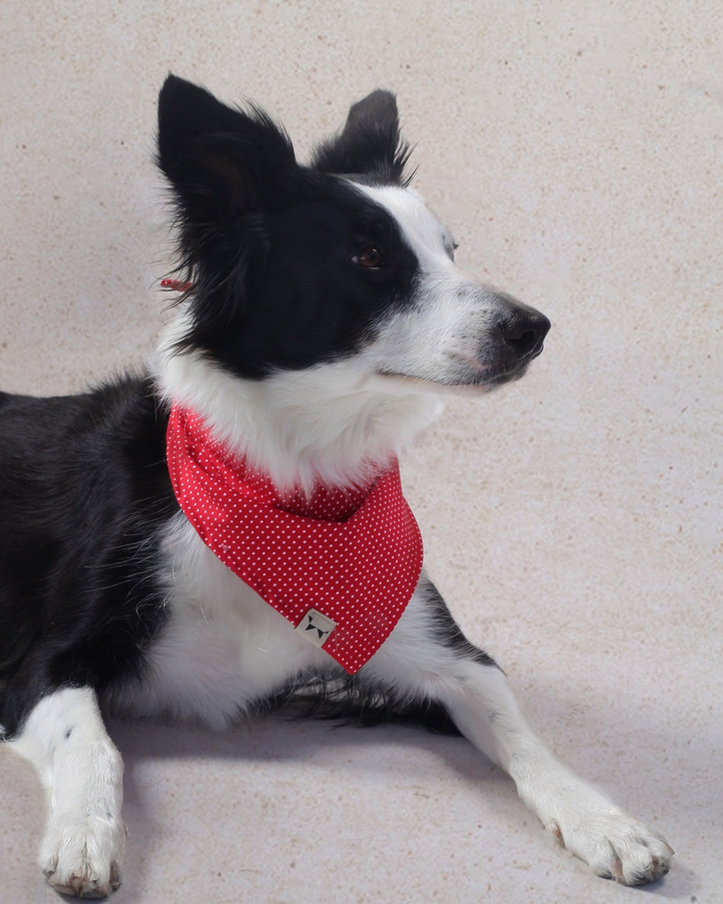 Bandana Roja con Lunares