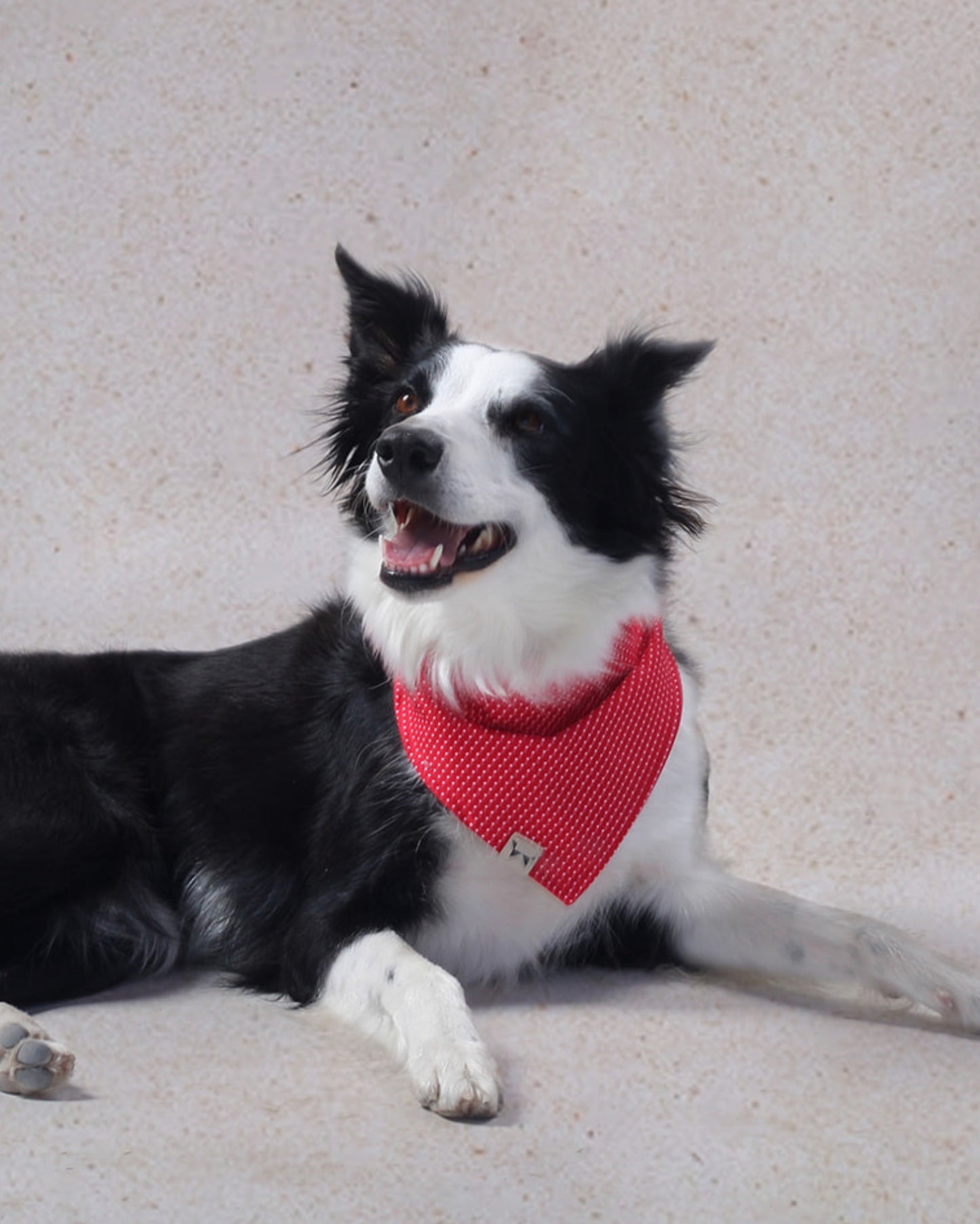 Bandana Roja con Lunares