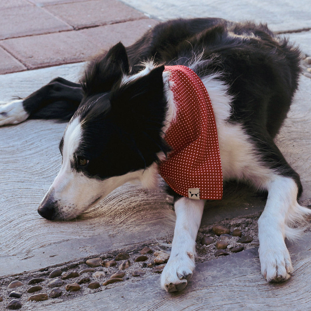 Bandana Roja con Lunares