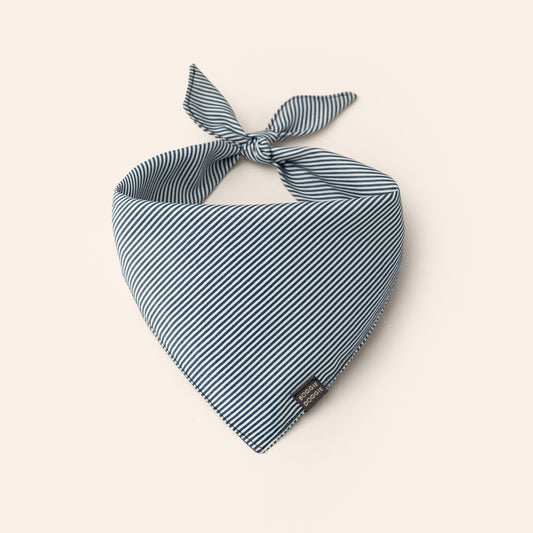 Bandana de Rayas Azules