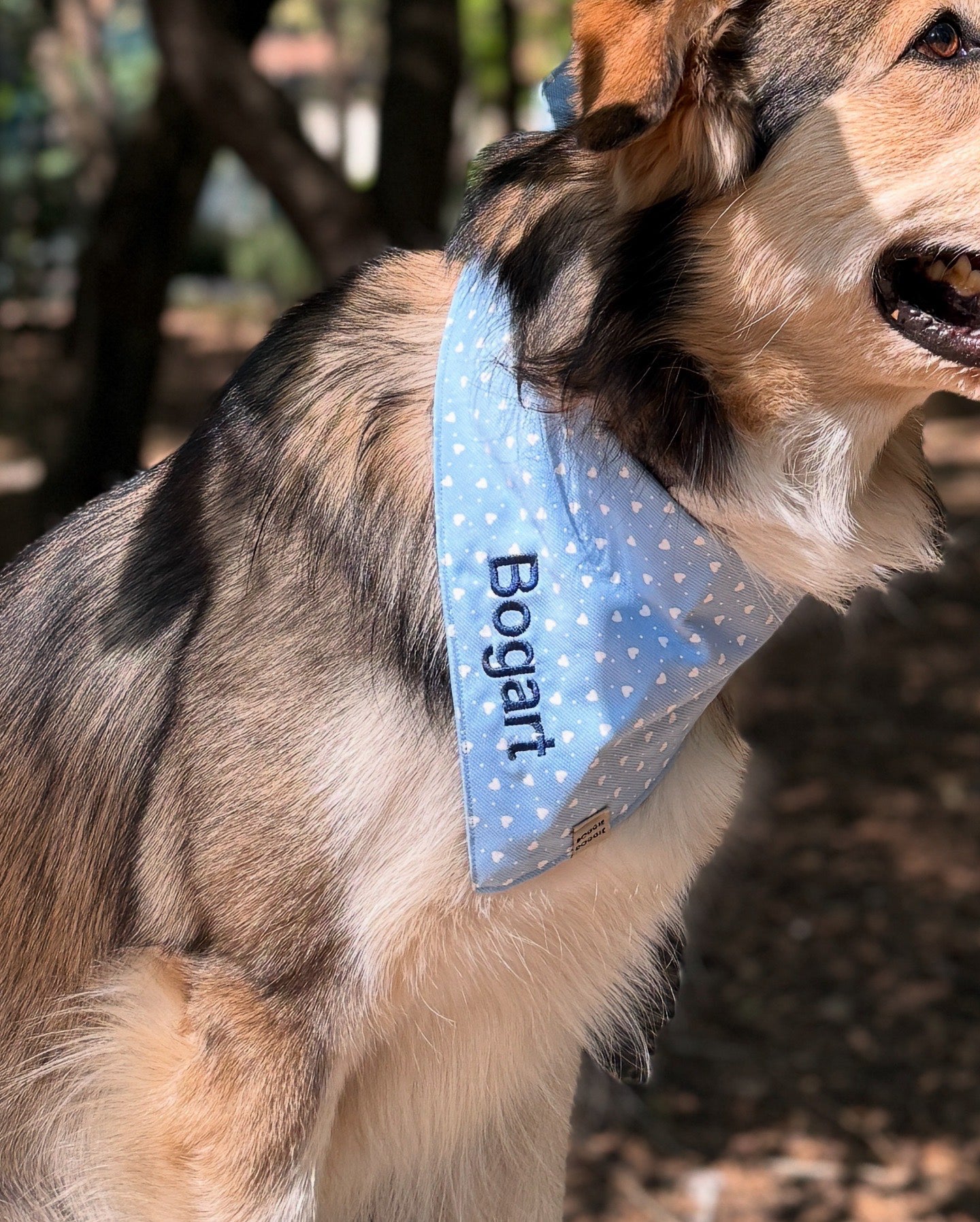 Bordado de nombre o iniciales