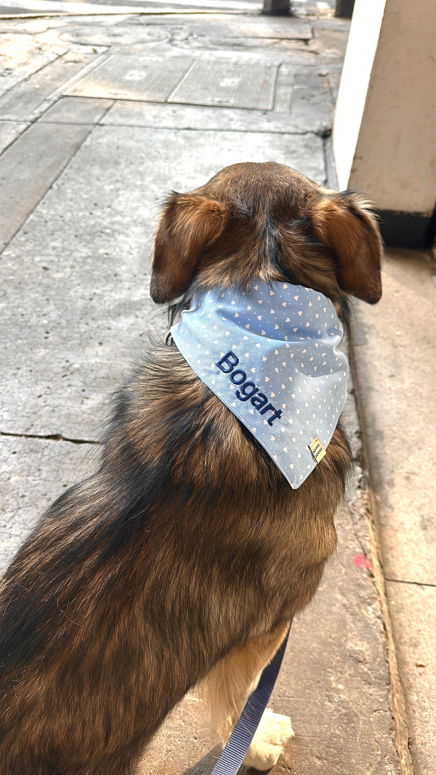 Bandana Azul con Corazones