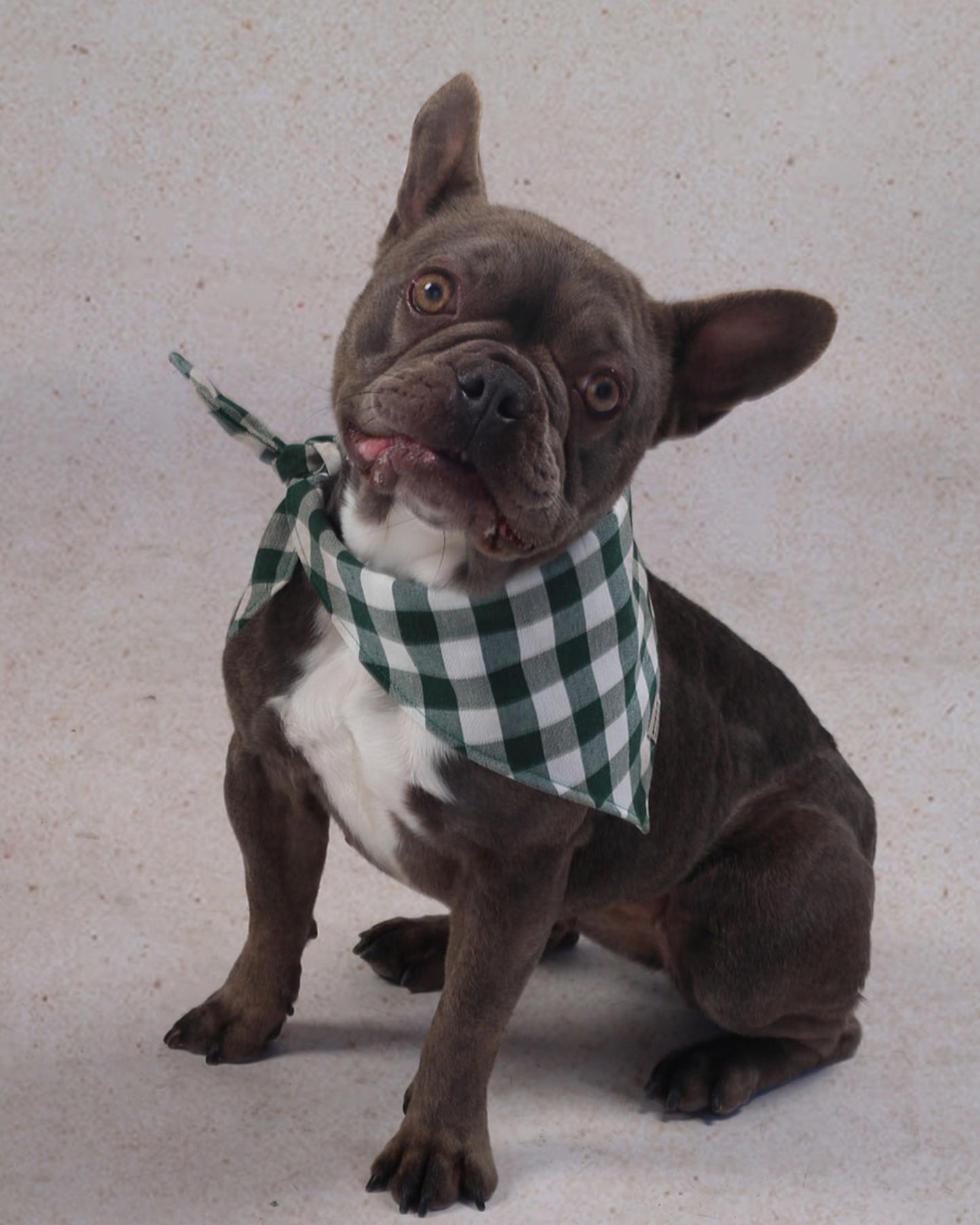Bandana de cuadros Verde Bosque