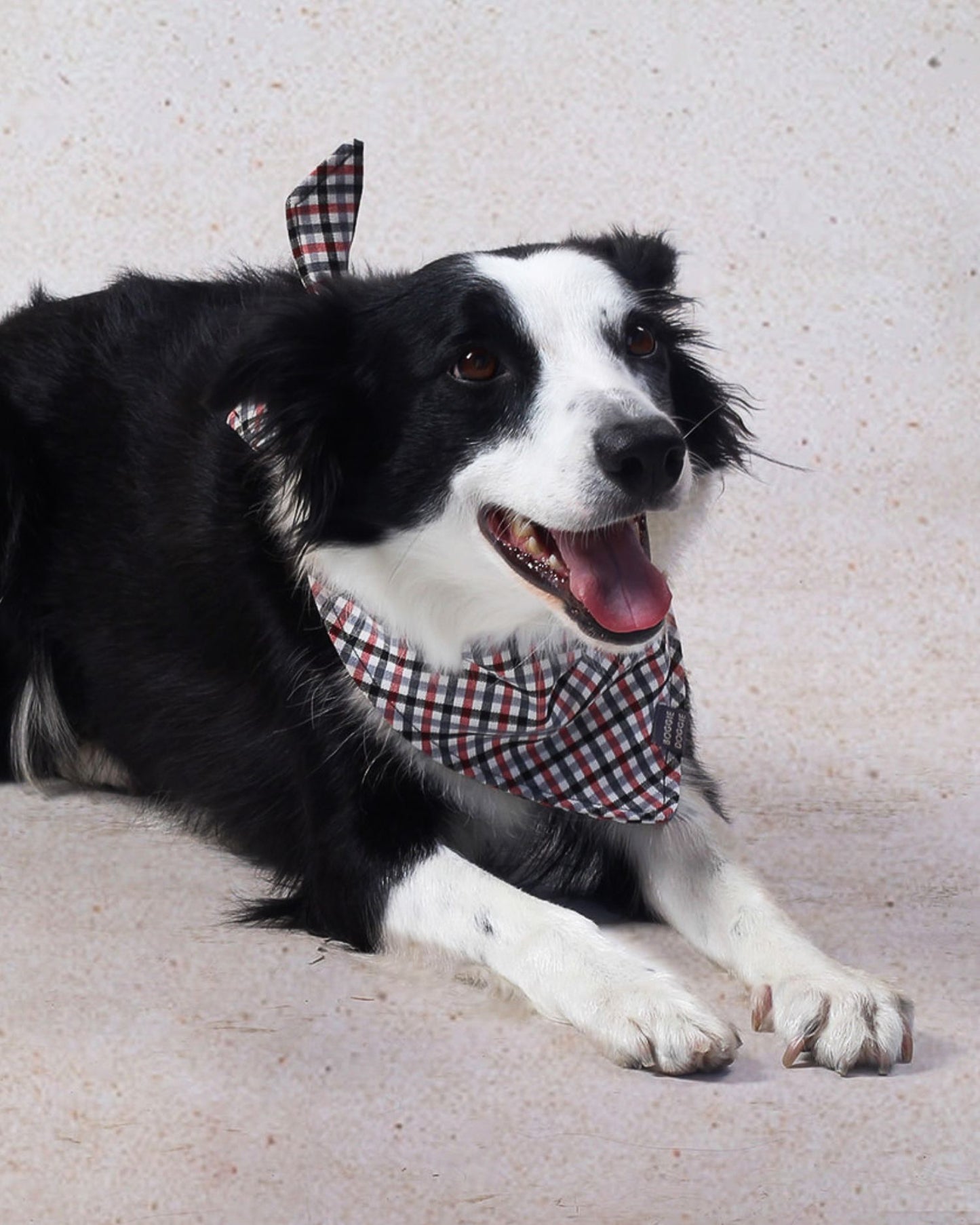 Bandana de Cuadritos negro, gris y rojo
