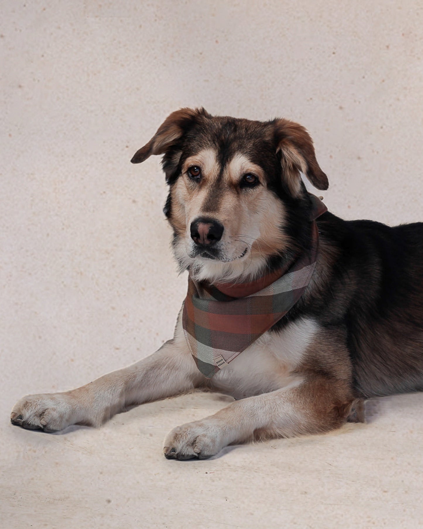 Bandana de Cuadros Desierto