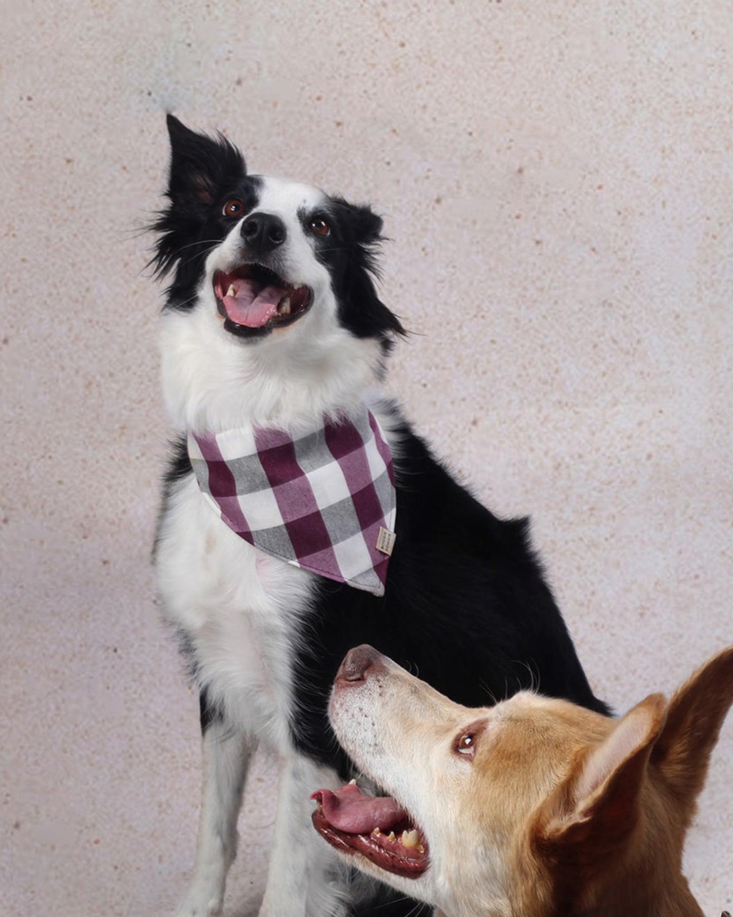 Bandana de Cuadros Ciruela