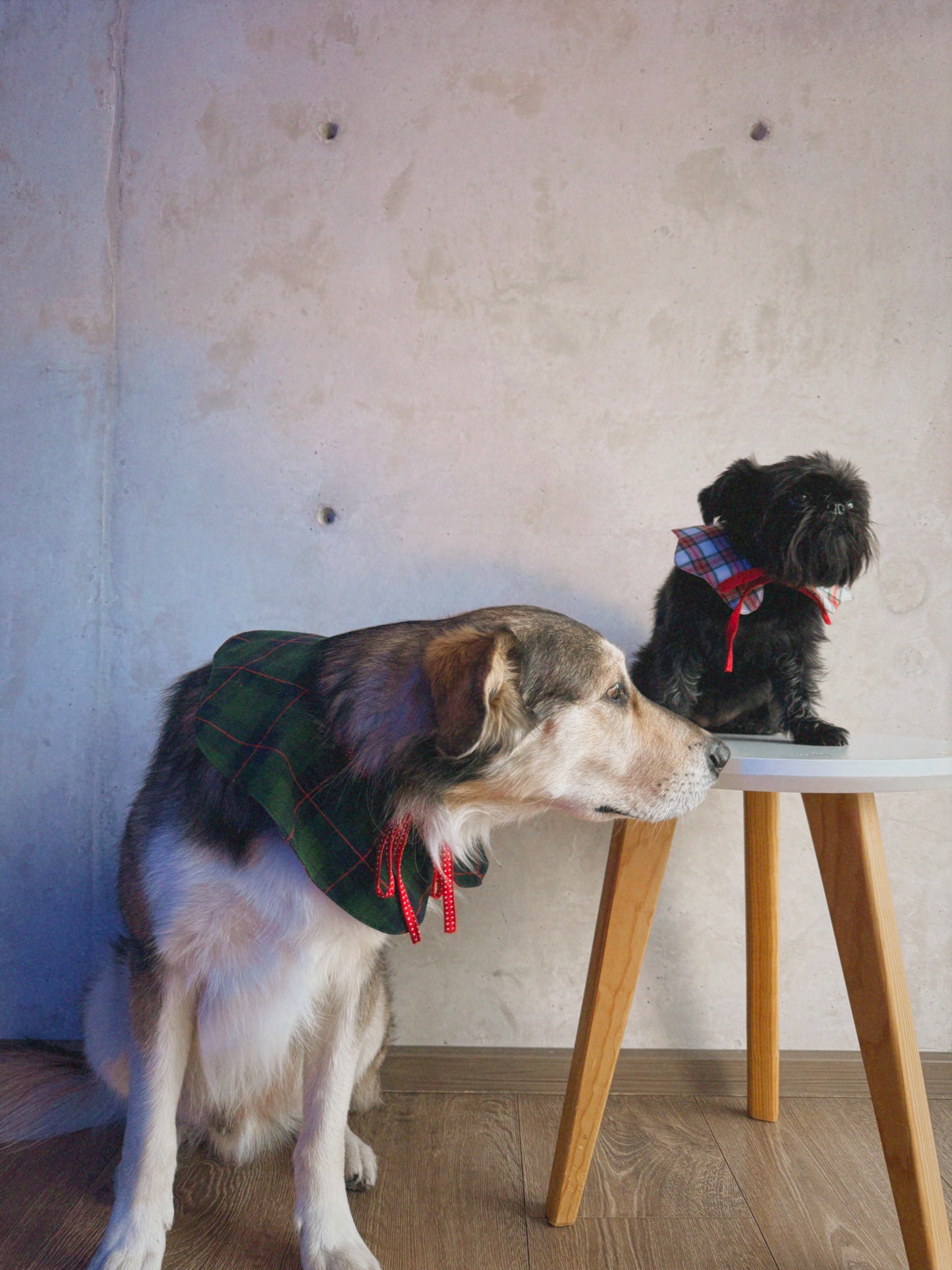 Cuello Navideño doble vista tartán verde y tela roja con lunares
