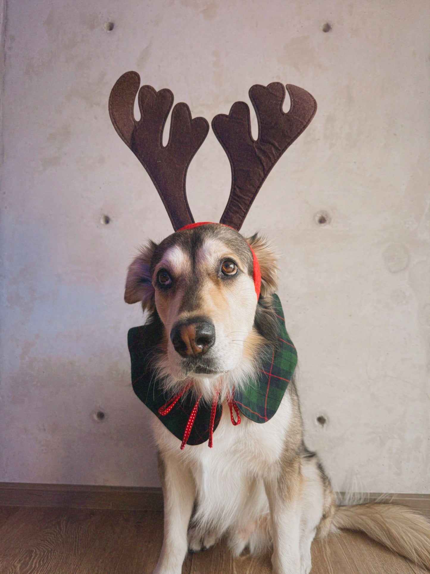 Cuello Navideño doble vista tartán verde y tela roja con lunares