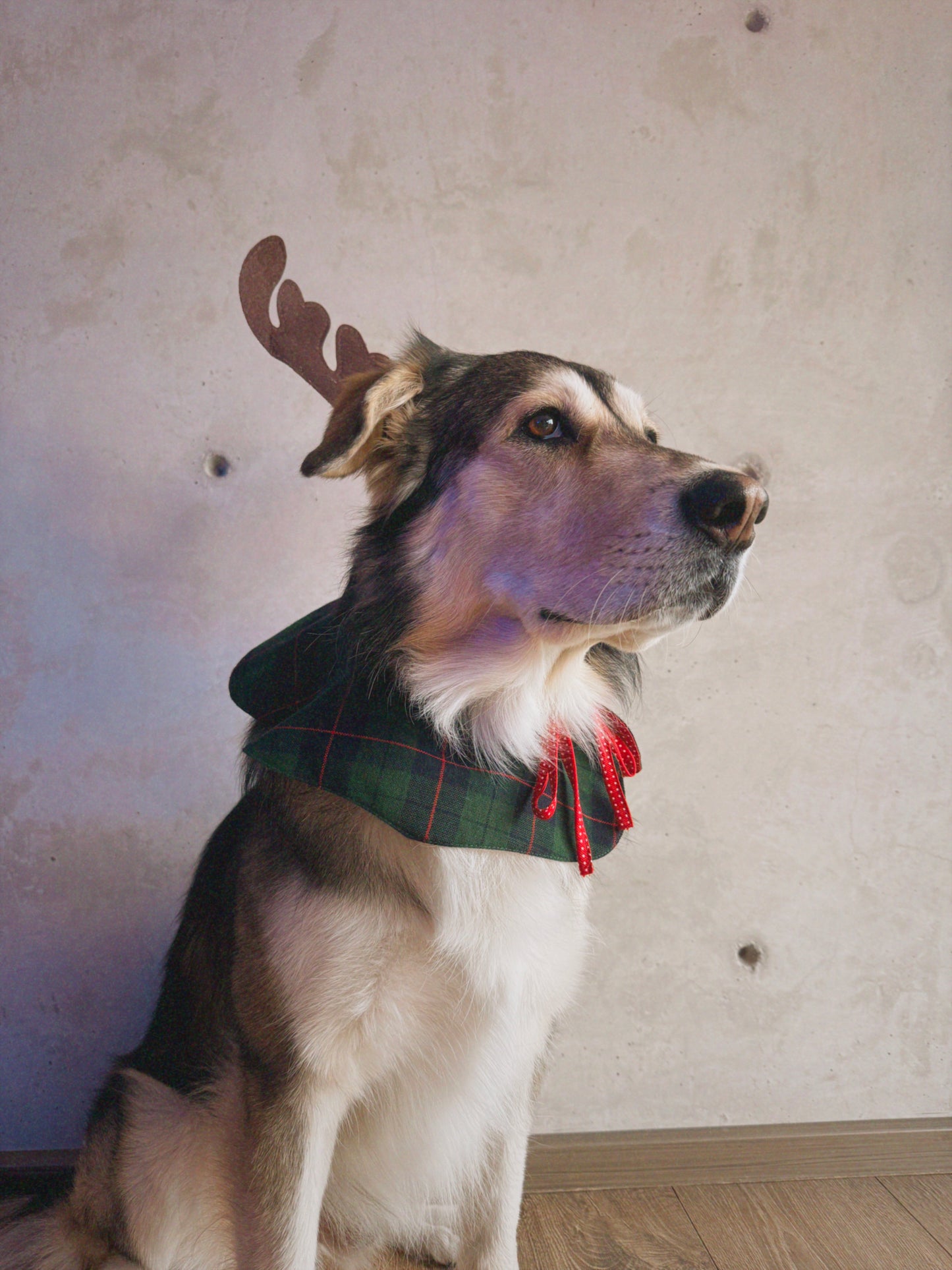 Cuello Navideño doble vista tartán verde y tela roja con lunares