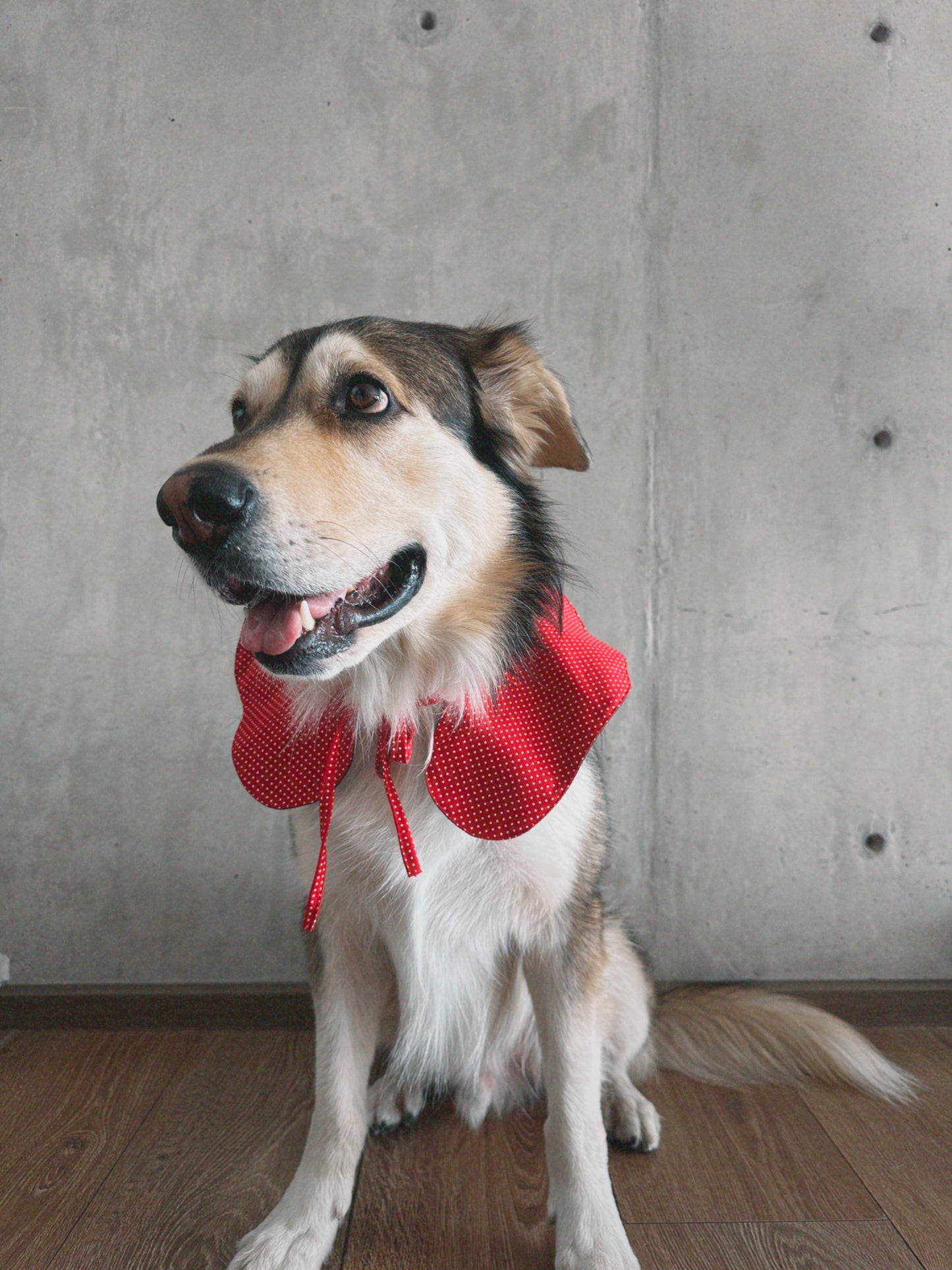 Cuello Navideño doble vista tartán verde y tela roja con lunares