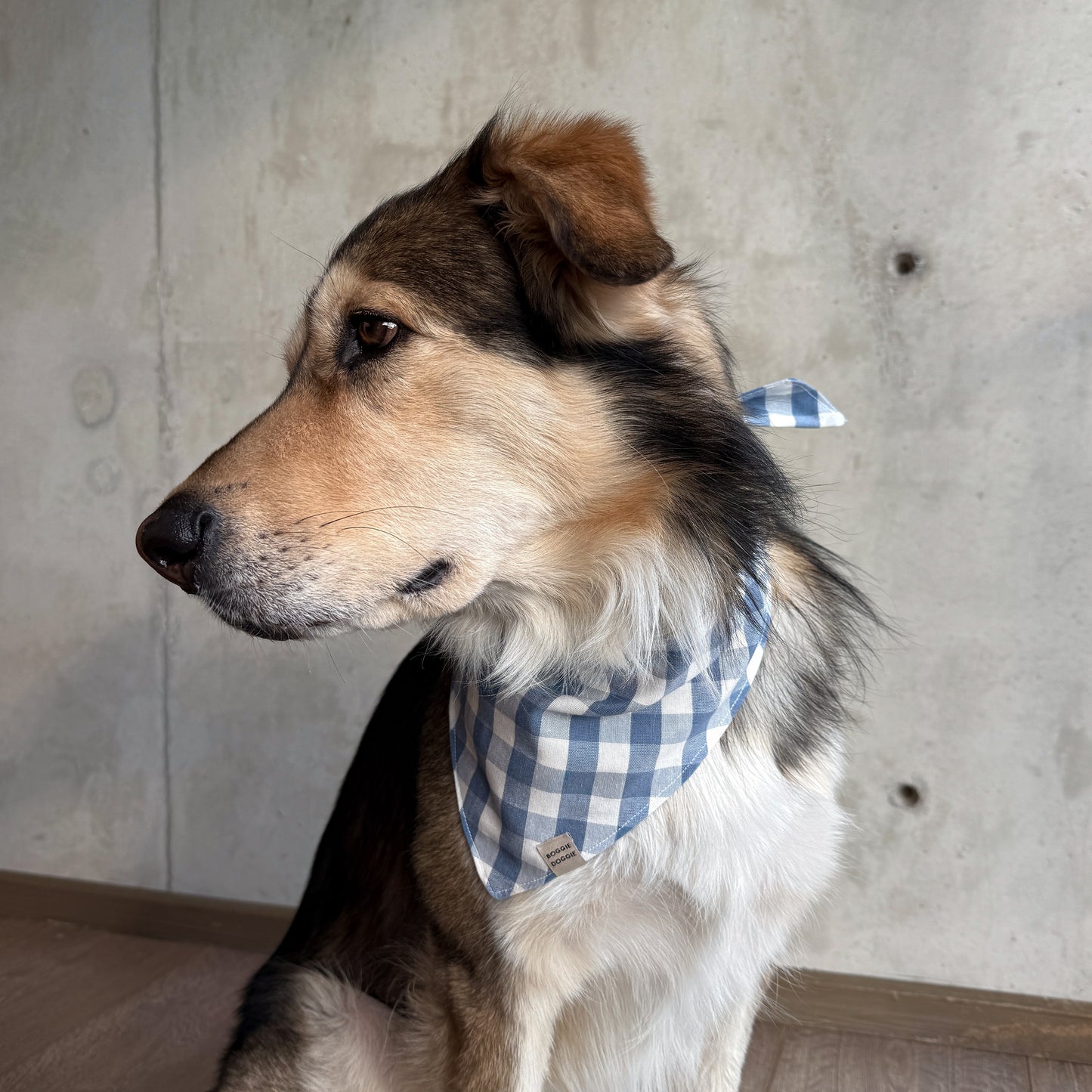 Bandana de Cuadros Cielo