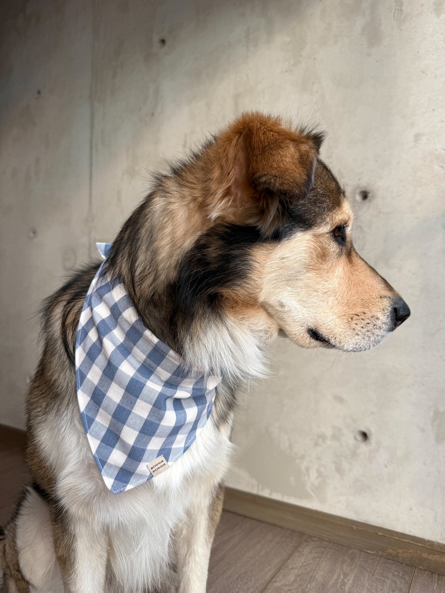 Bandana de Cuadros Cielo