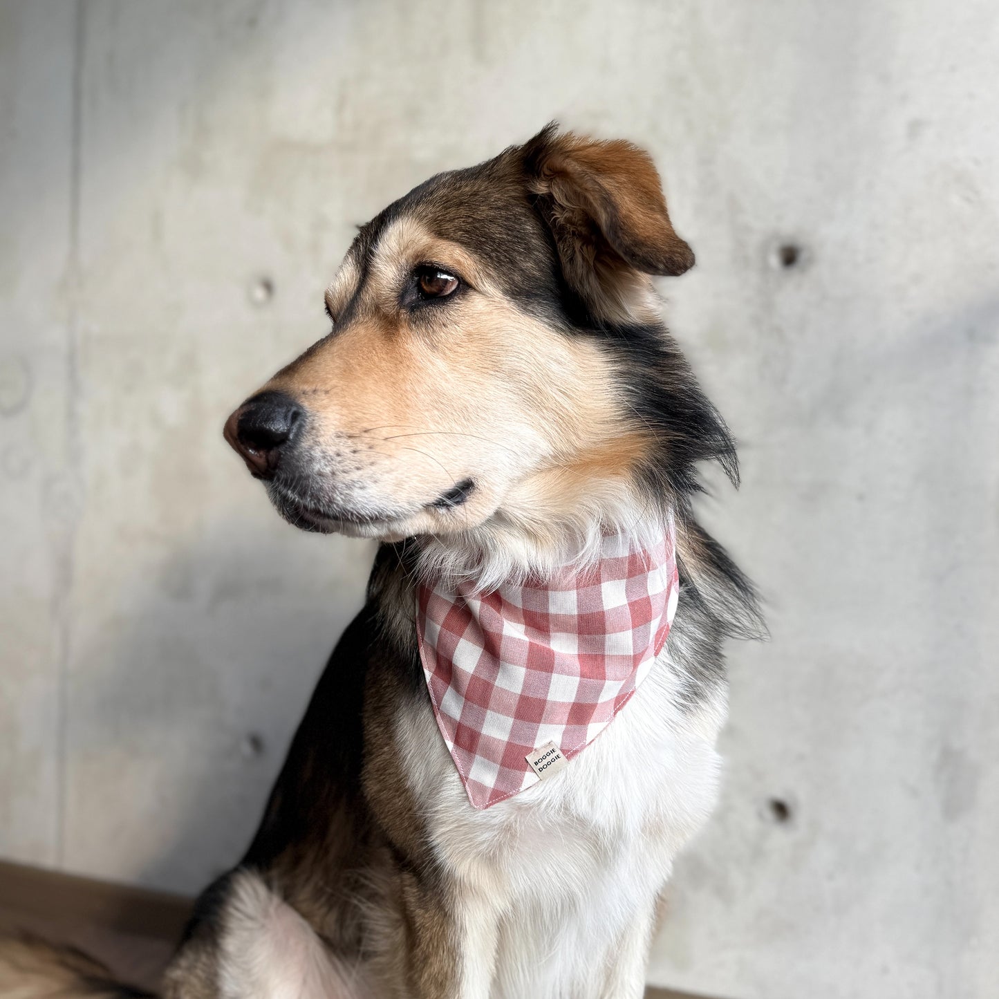Bandana de cuadros Sunset