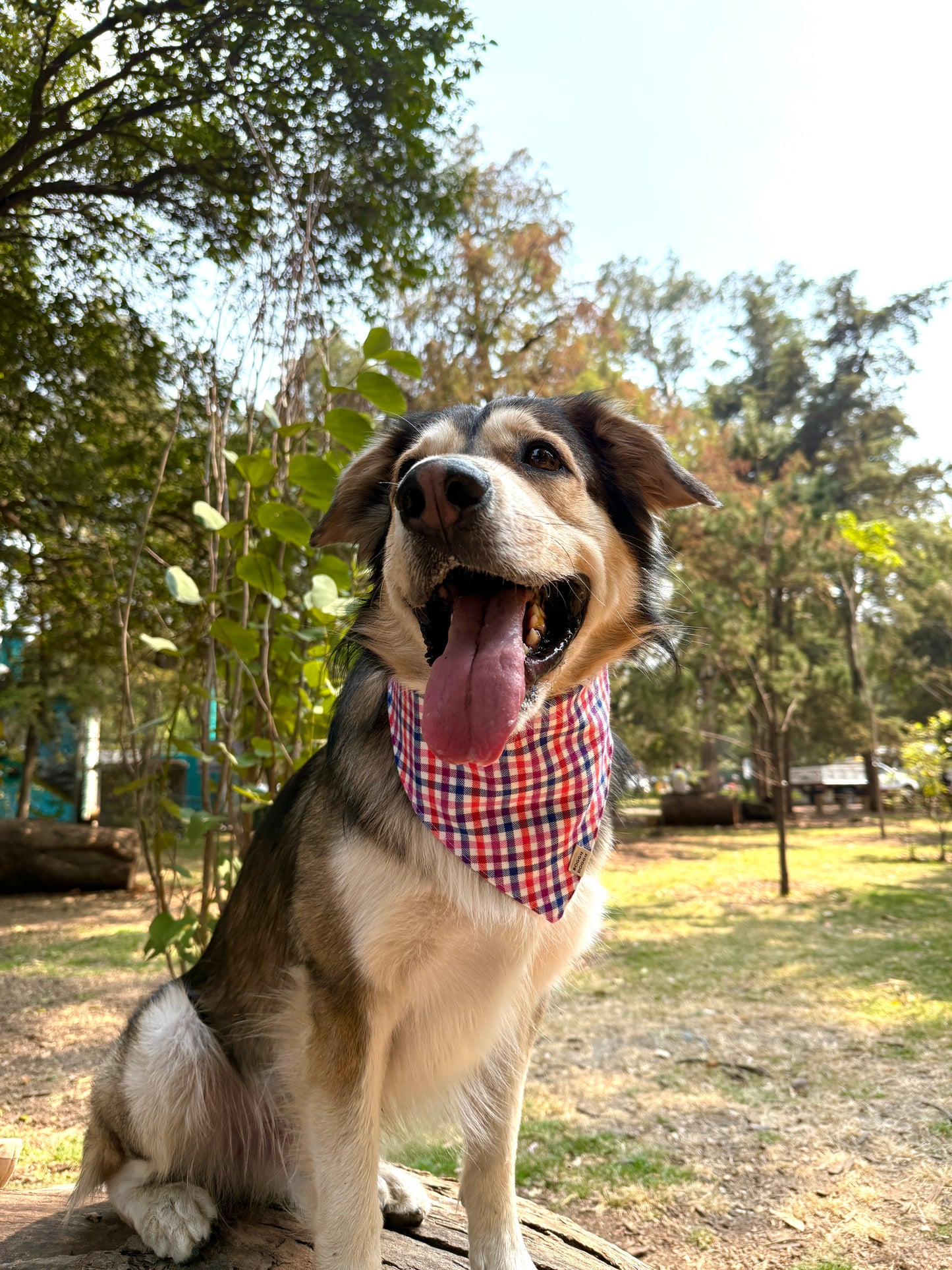 Bandana de Cuadritos Multicolor