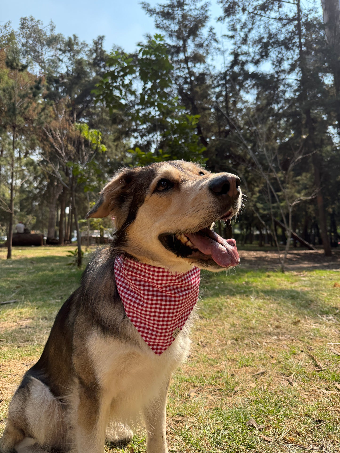 Bandana de Cuadritos Rojos