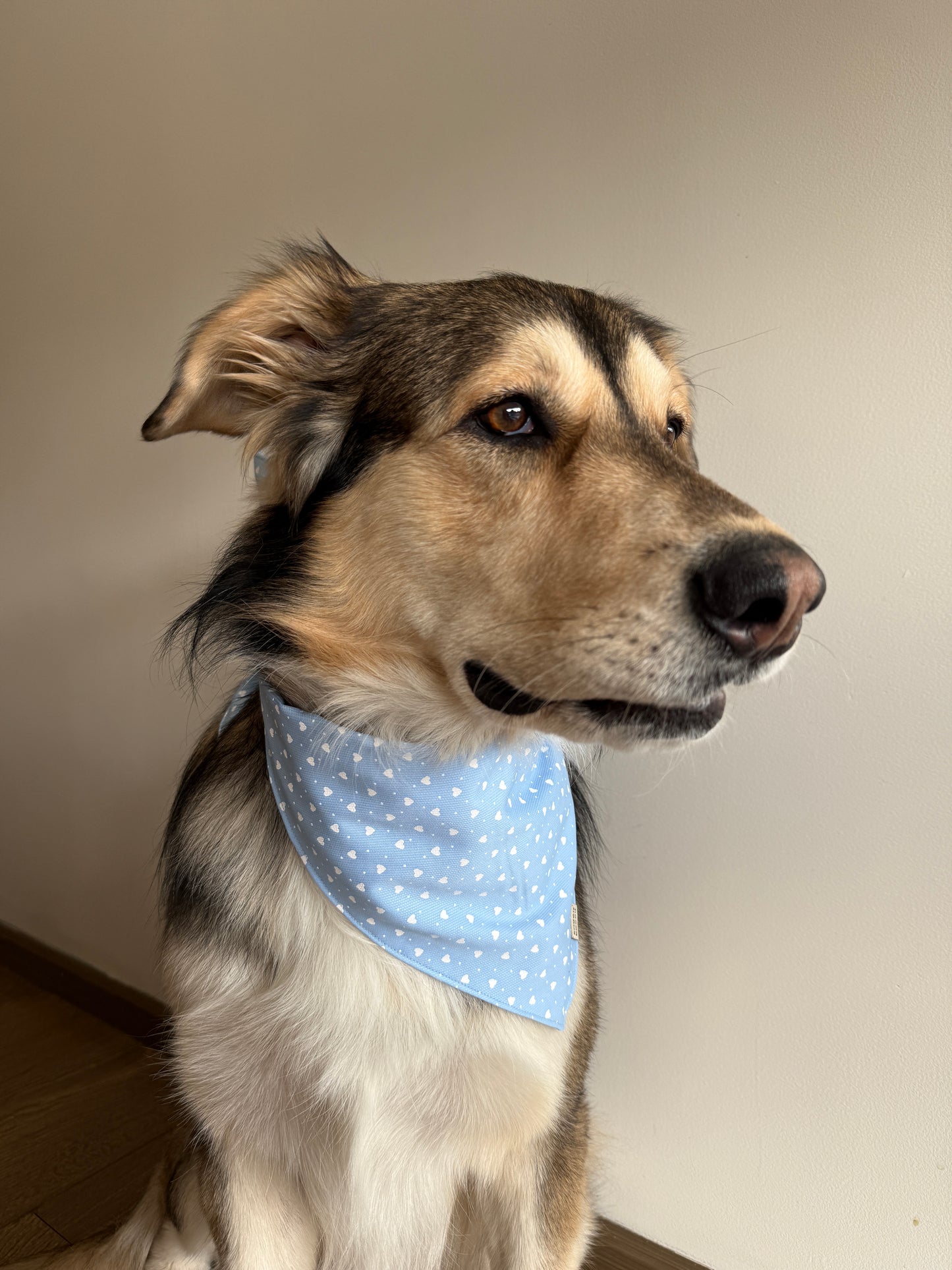 Bandana Azul con Corazones