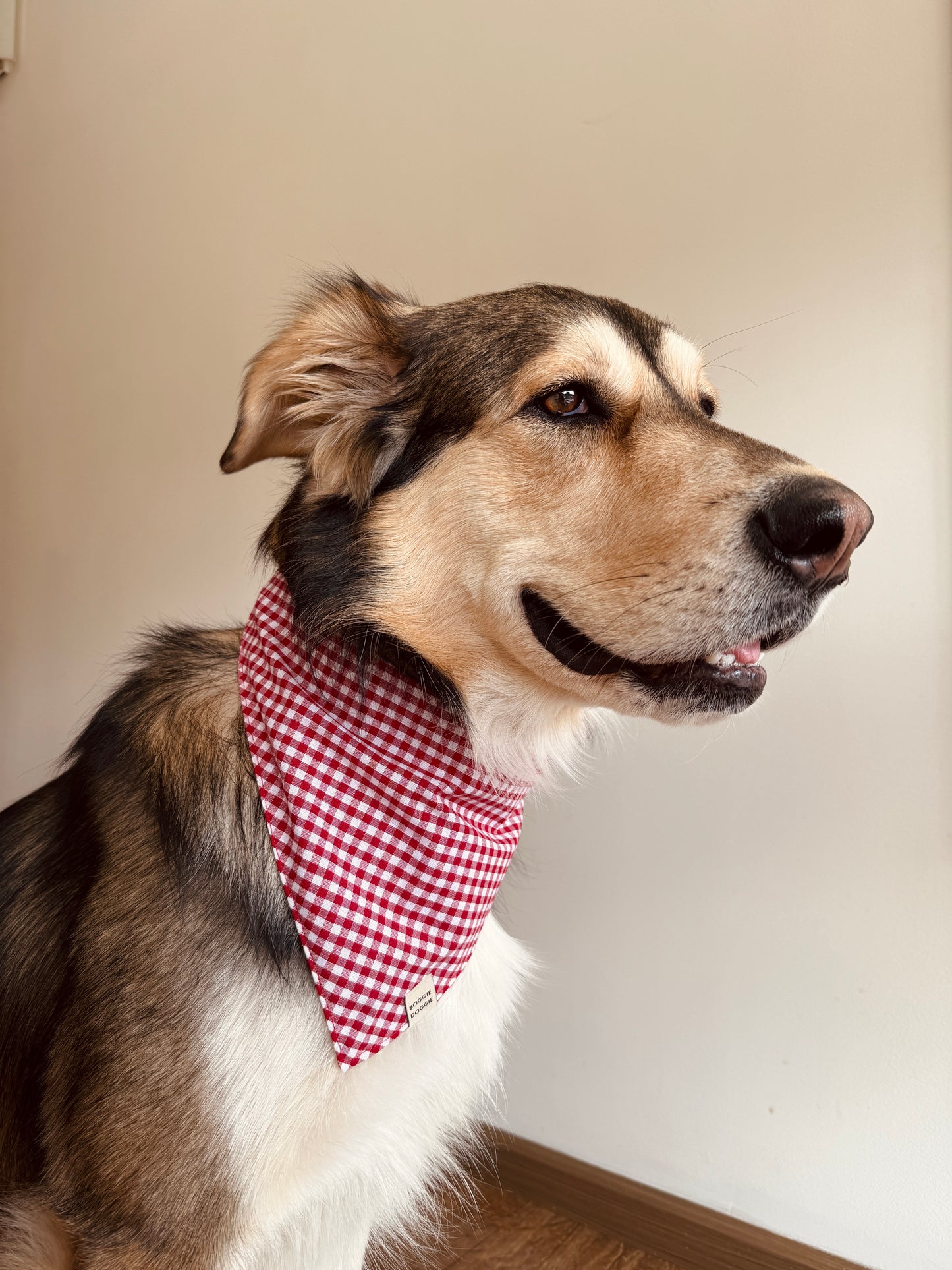 Bandana de Cuadritos Rojos