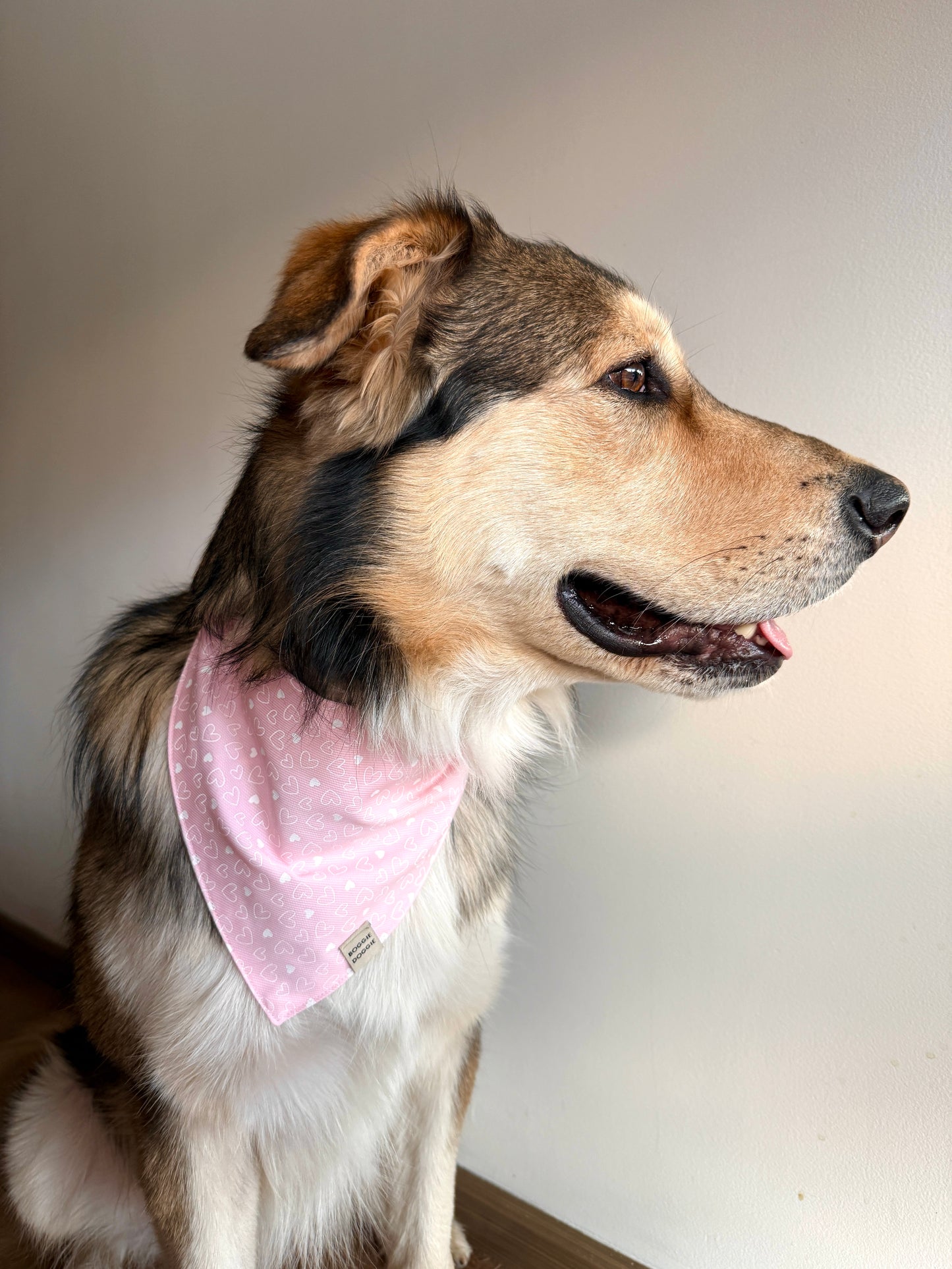 Bandana Rosa con Corazones