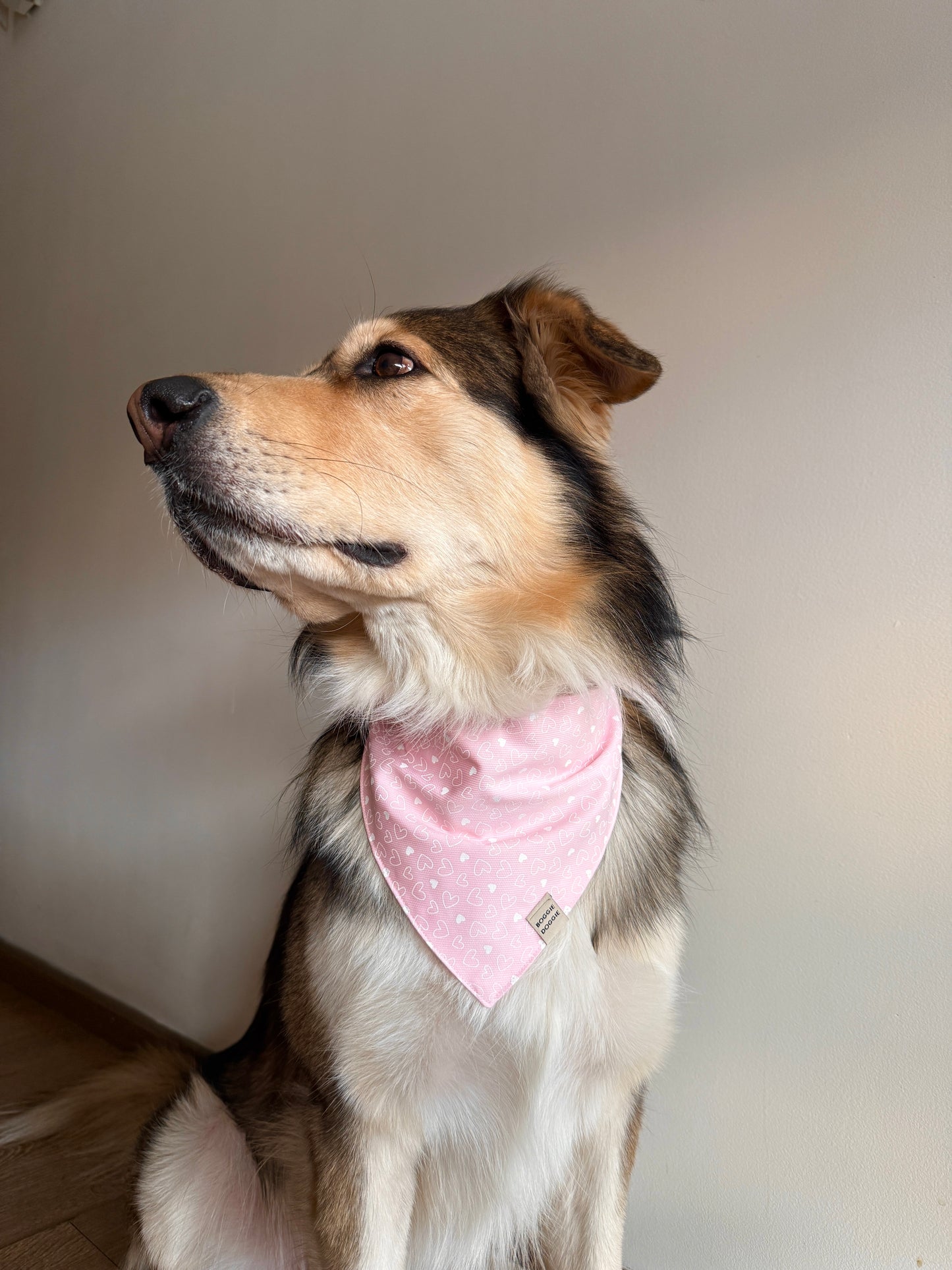 Bandana Rosa con Corazones