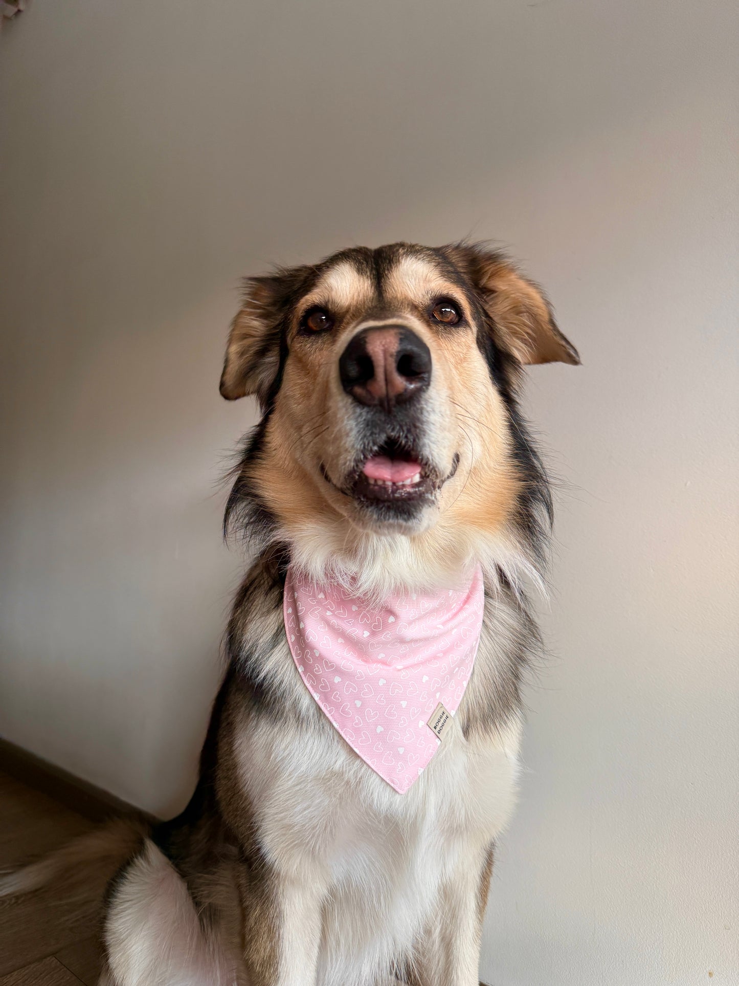 Bandana Rosa con Corazones
