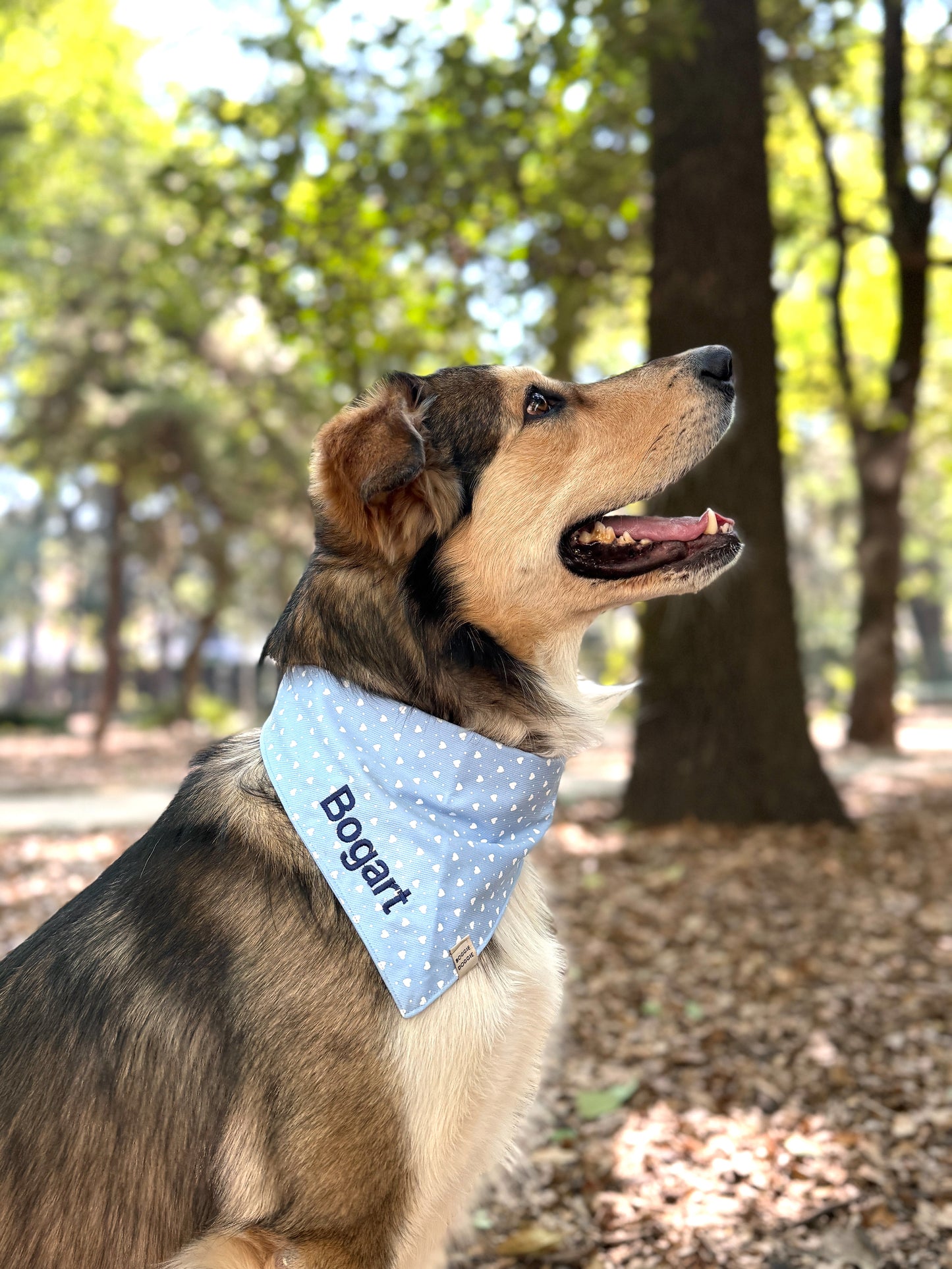 Bordado de nombre o iniciales