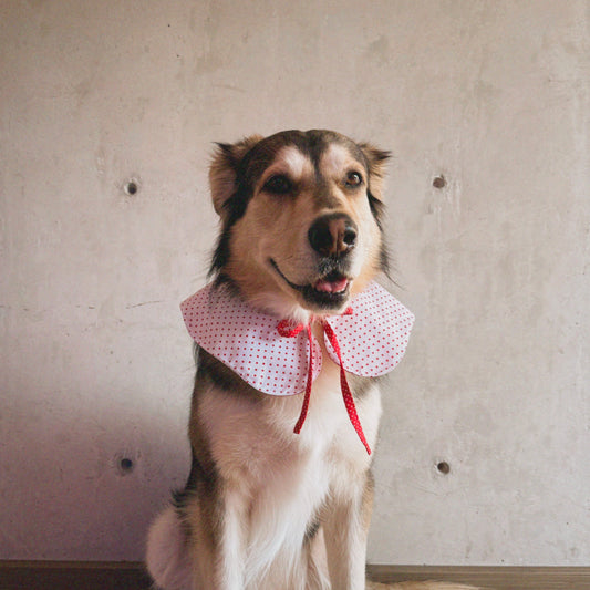 Cuello San Valentín doble vista blanco y rojo con lunares