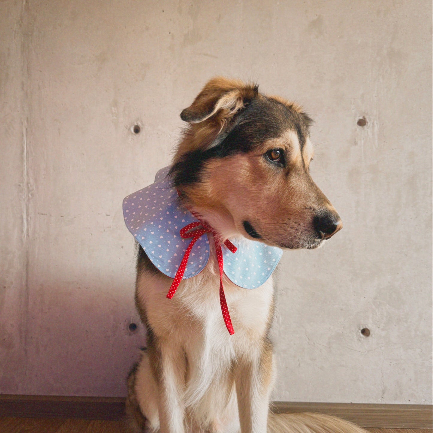 Cuello San Valentín doble vista azul con corazones y rojo con lunares