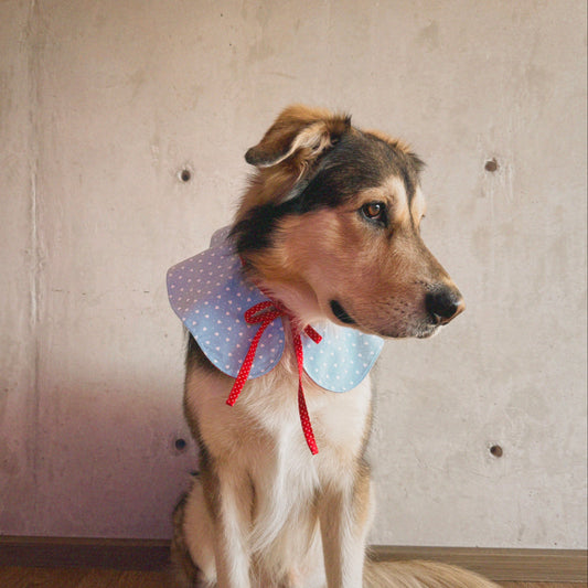 Cuello San Valentín doble vista azul con corazones y rojo con lunares