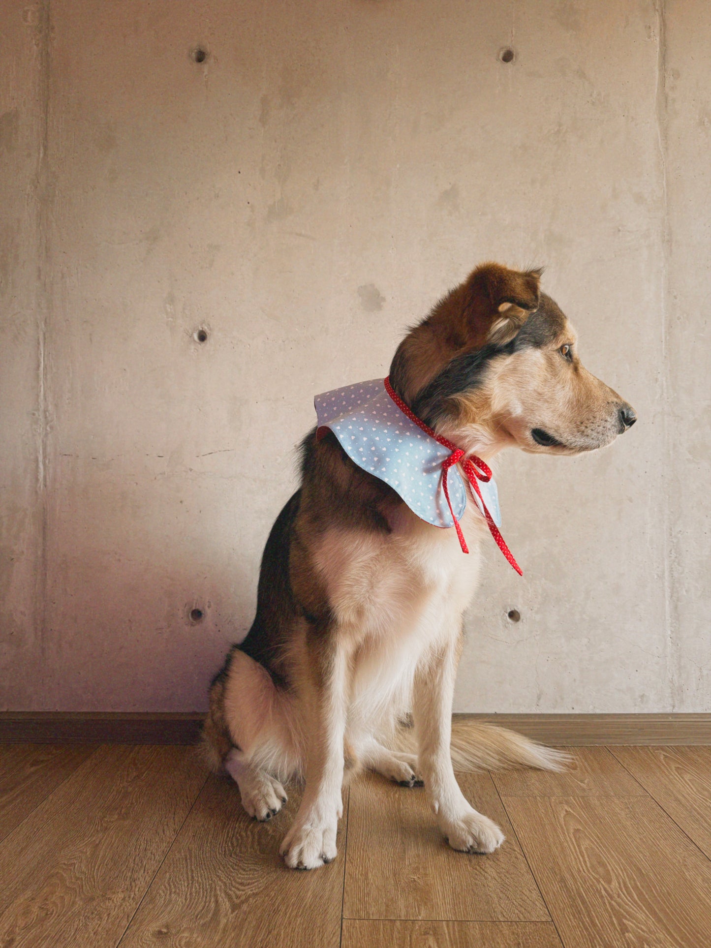 Cuello San Valentín doble vista azul con corazones y rojo con lunares