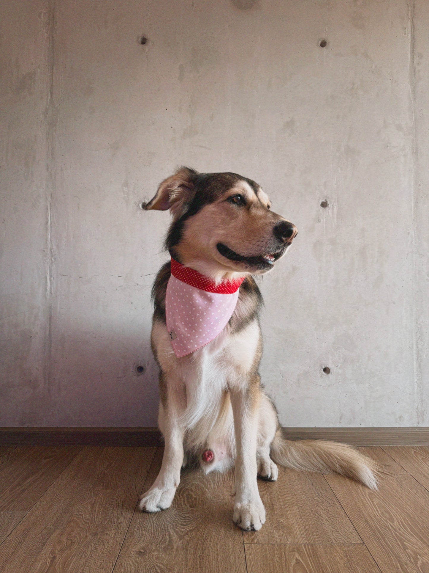 Bandana San Valentín rosa con corazones y rojo con lunares