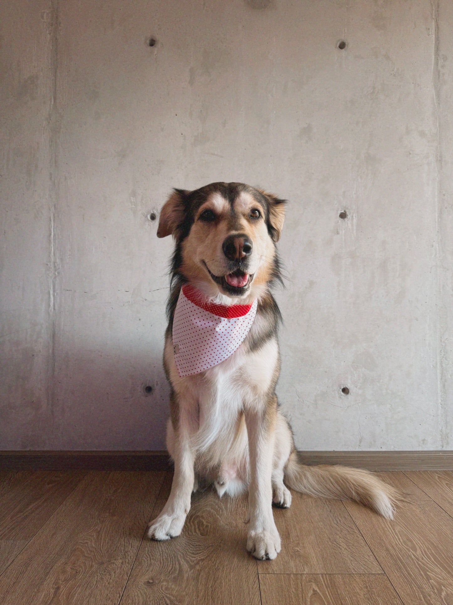 Bandana San Valentín blanca y rojo con lunares