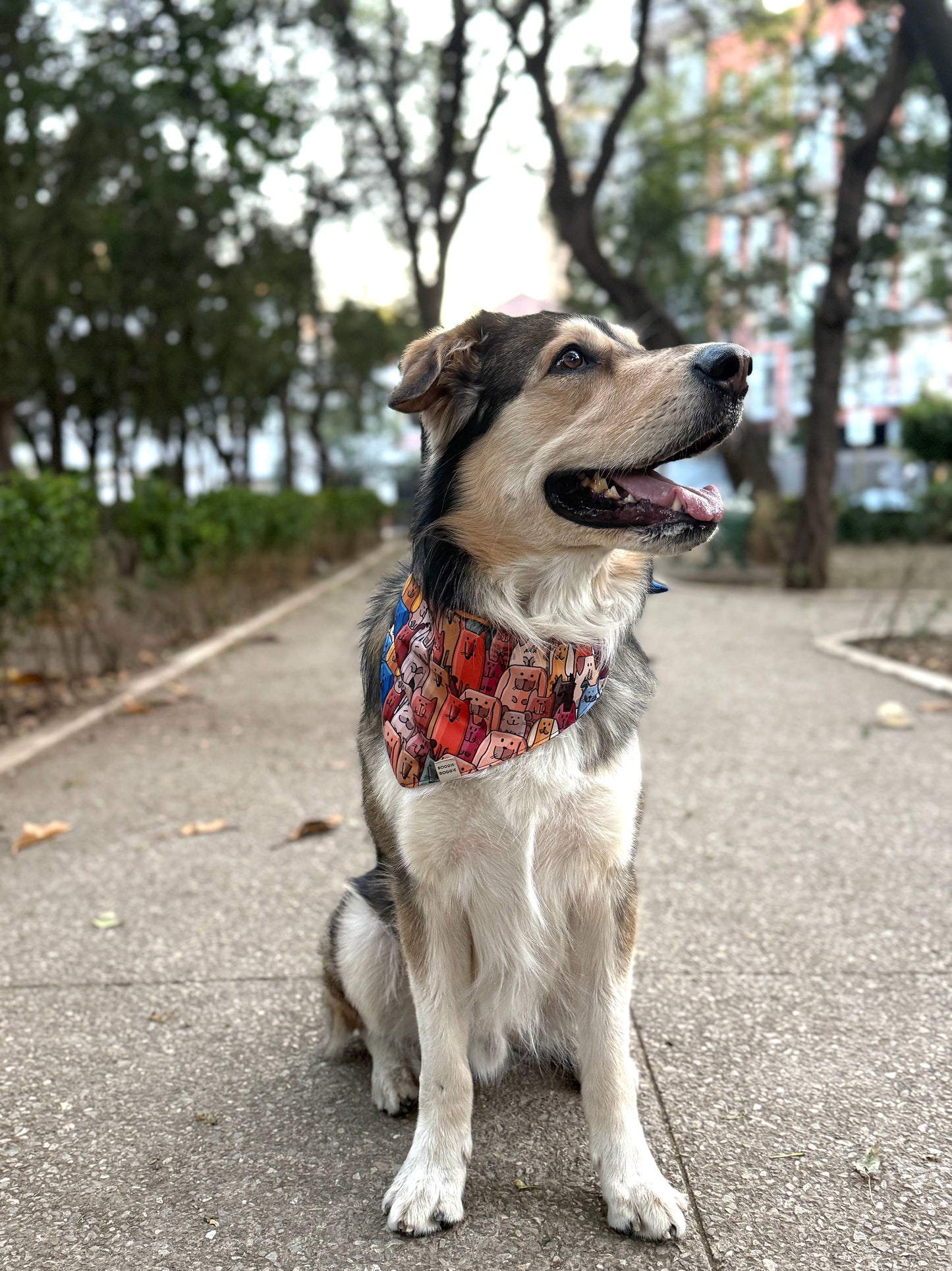 Bandana Perritos y Gatitos