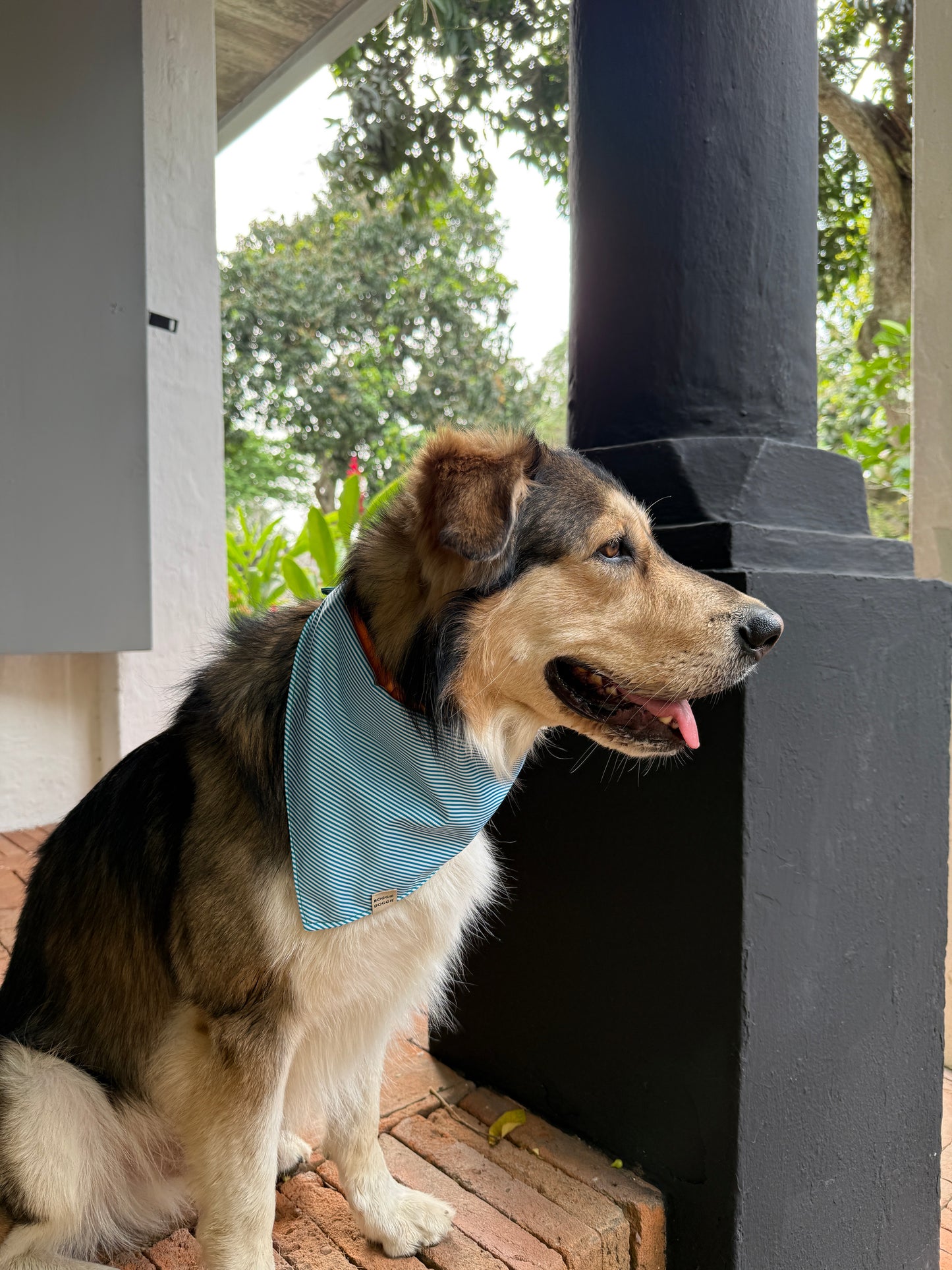 Bandana Rayas satín aqua