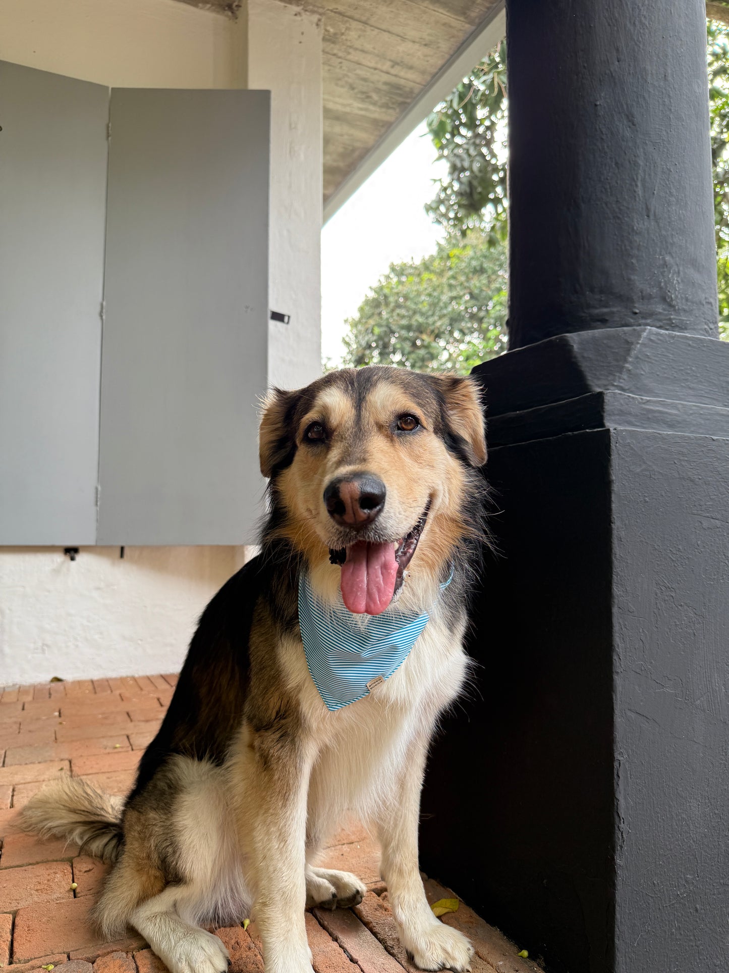 Bandana Rayas satín aqua