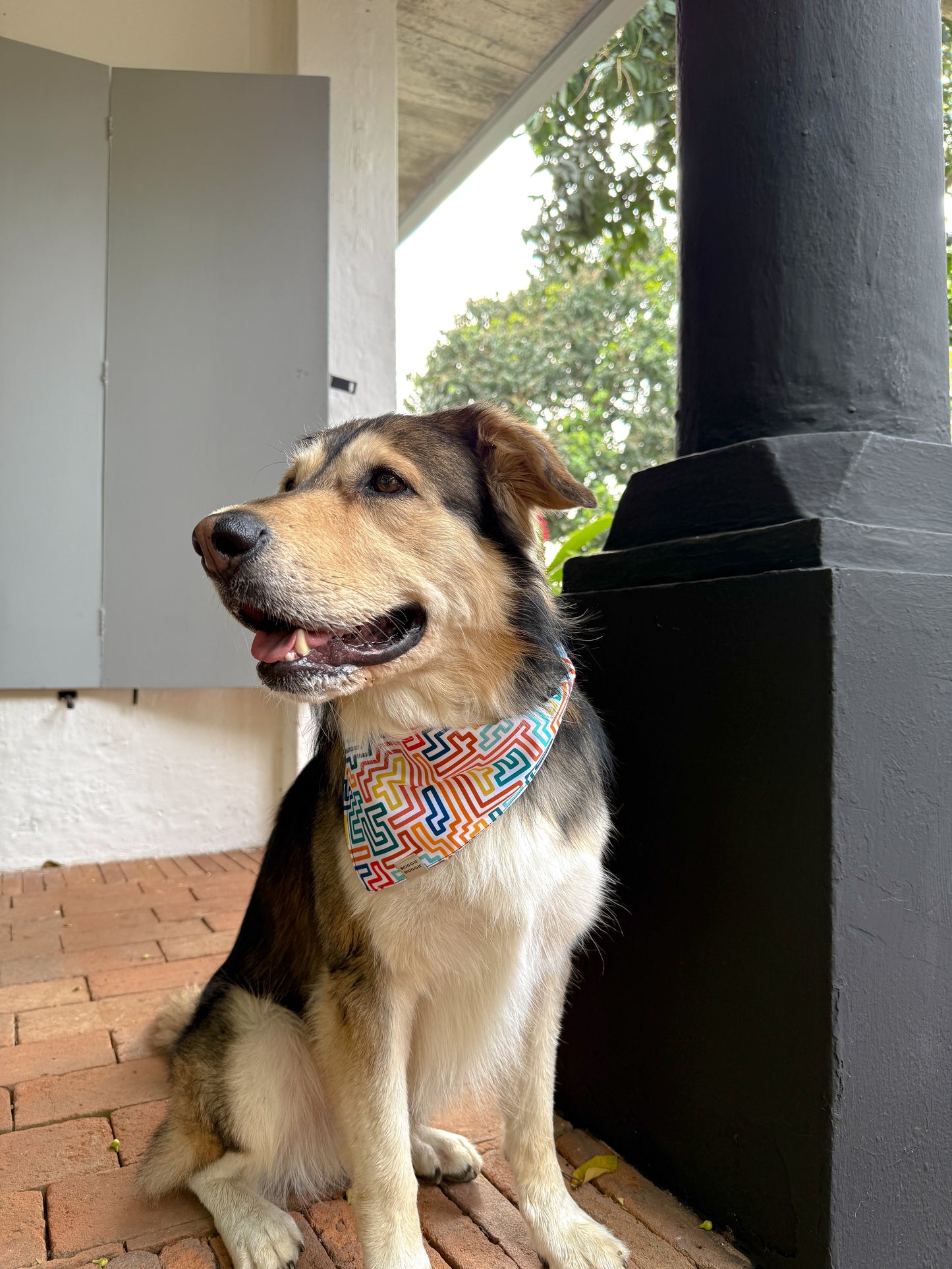 Bandana Grecas de colores