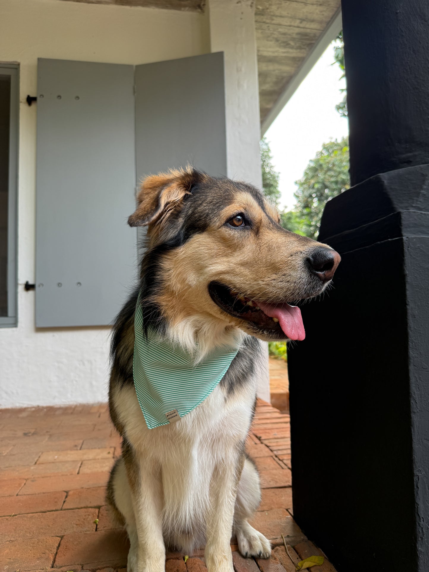 Bandana Rayas verdes
