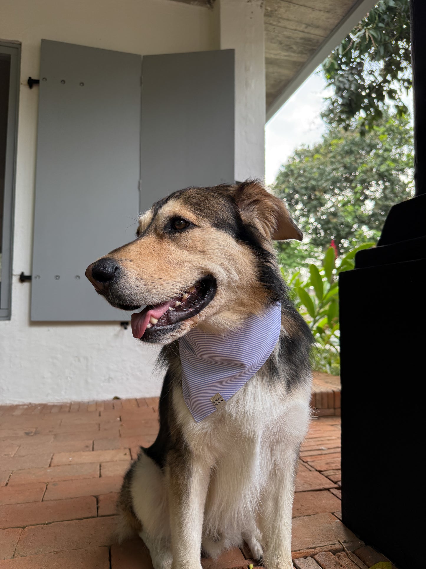 Bandana Rayas moradas