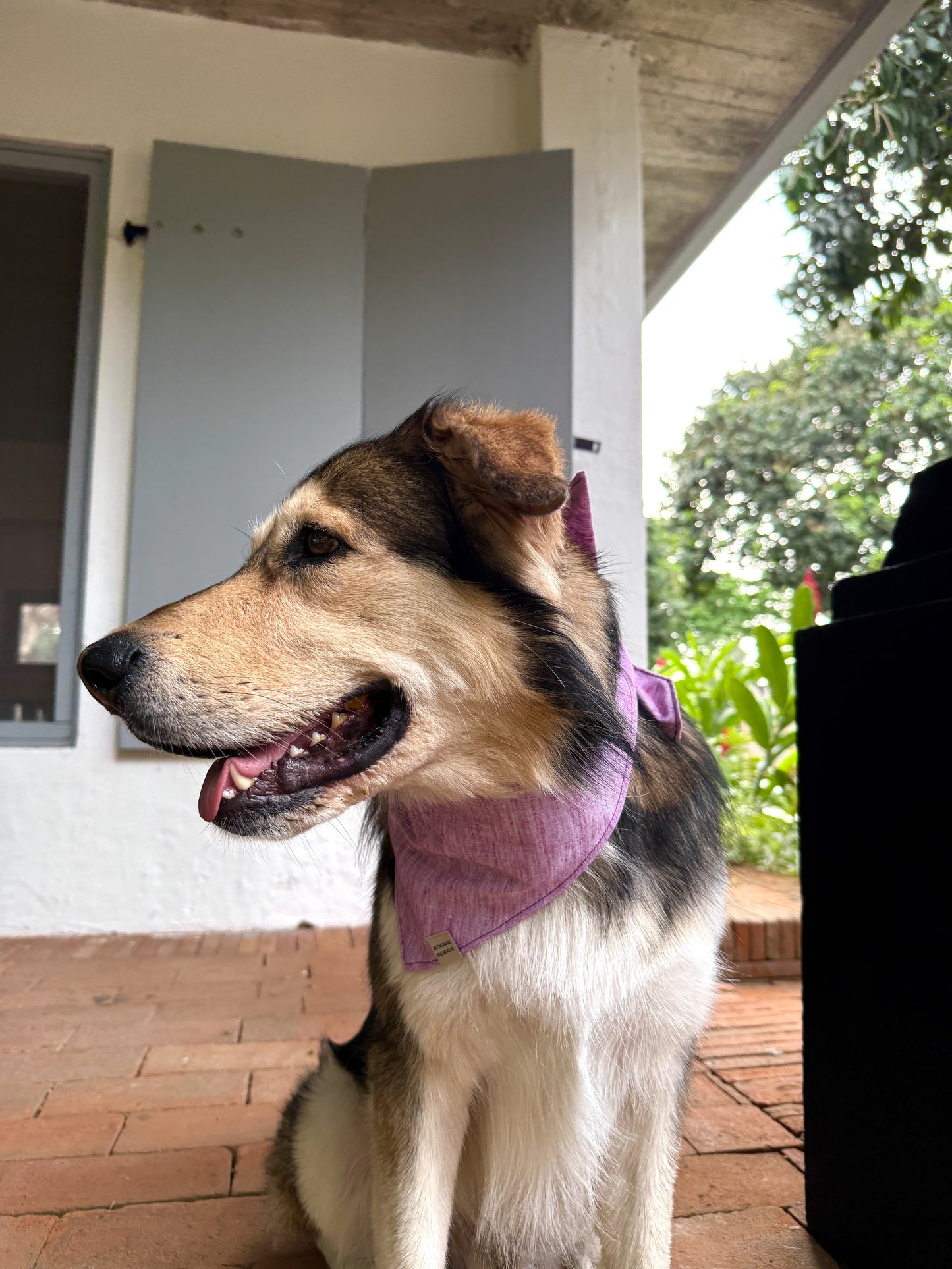 Bandana Jaspeada morada