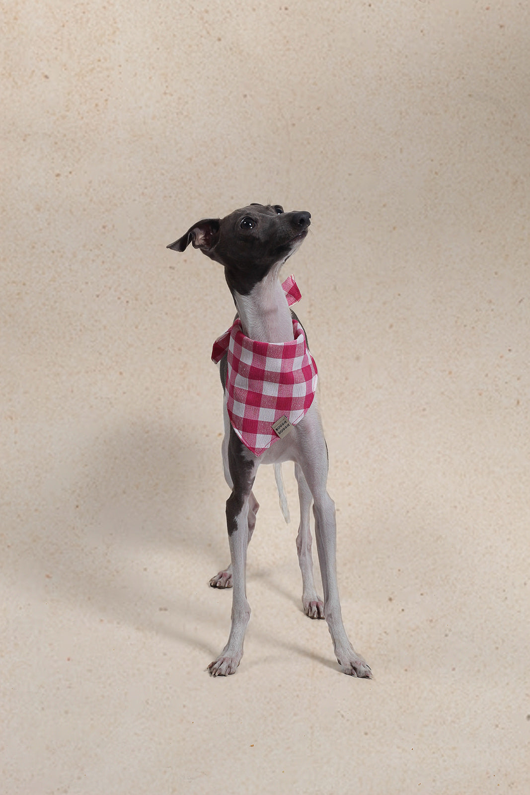 Bandana de Cuadros Peonia