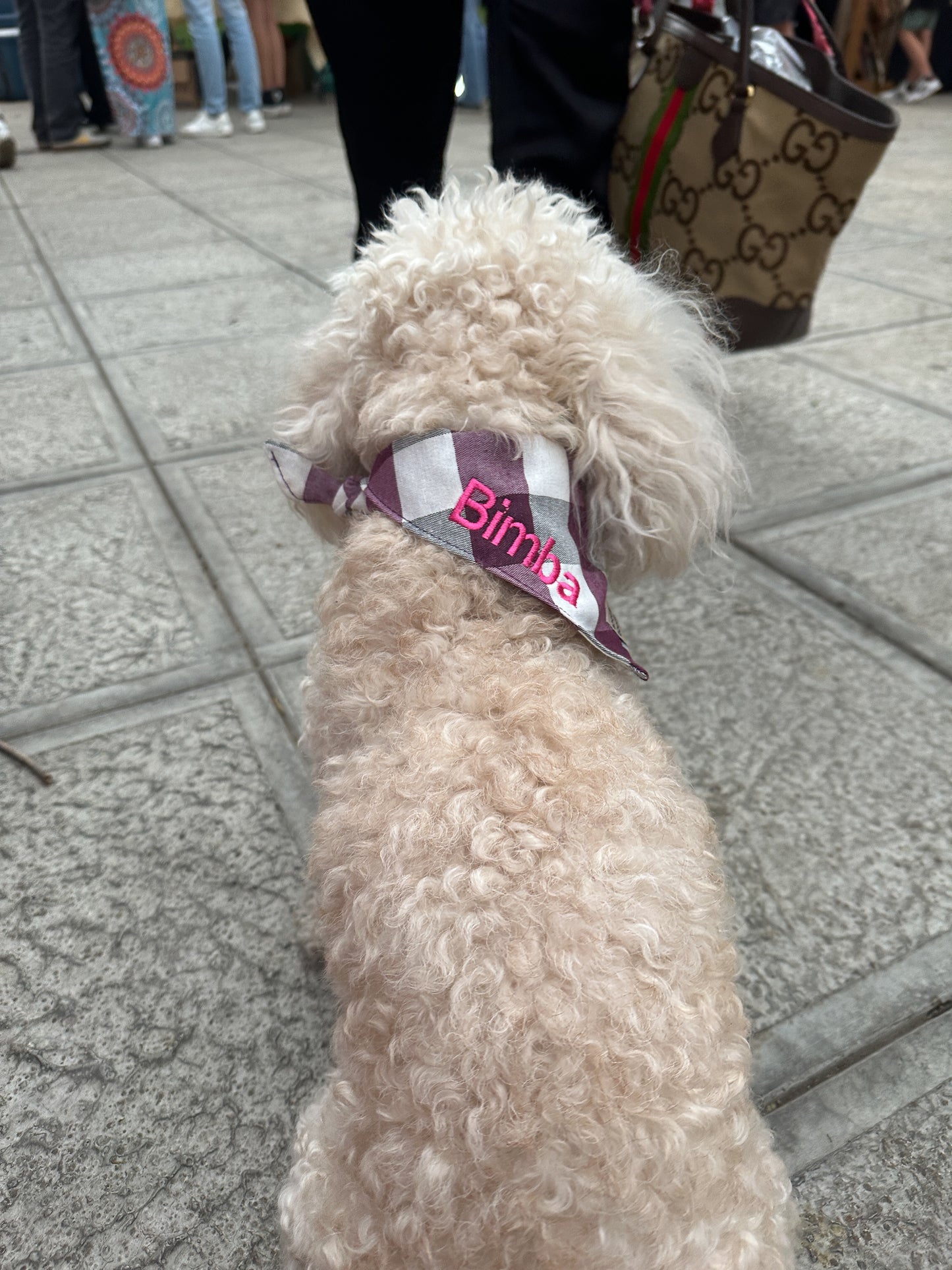 Bordado de nombre o iniciales