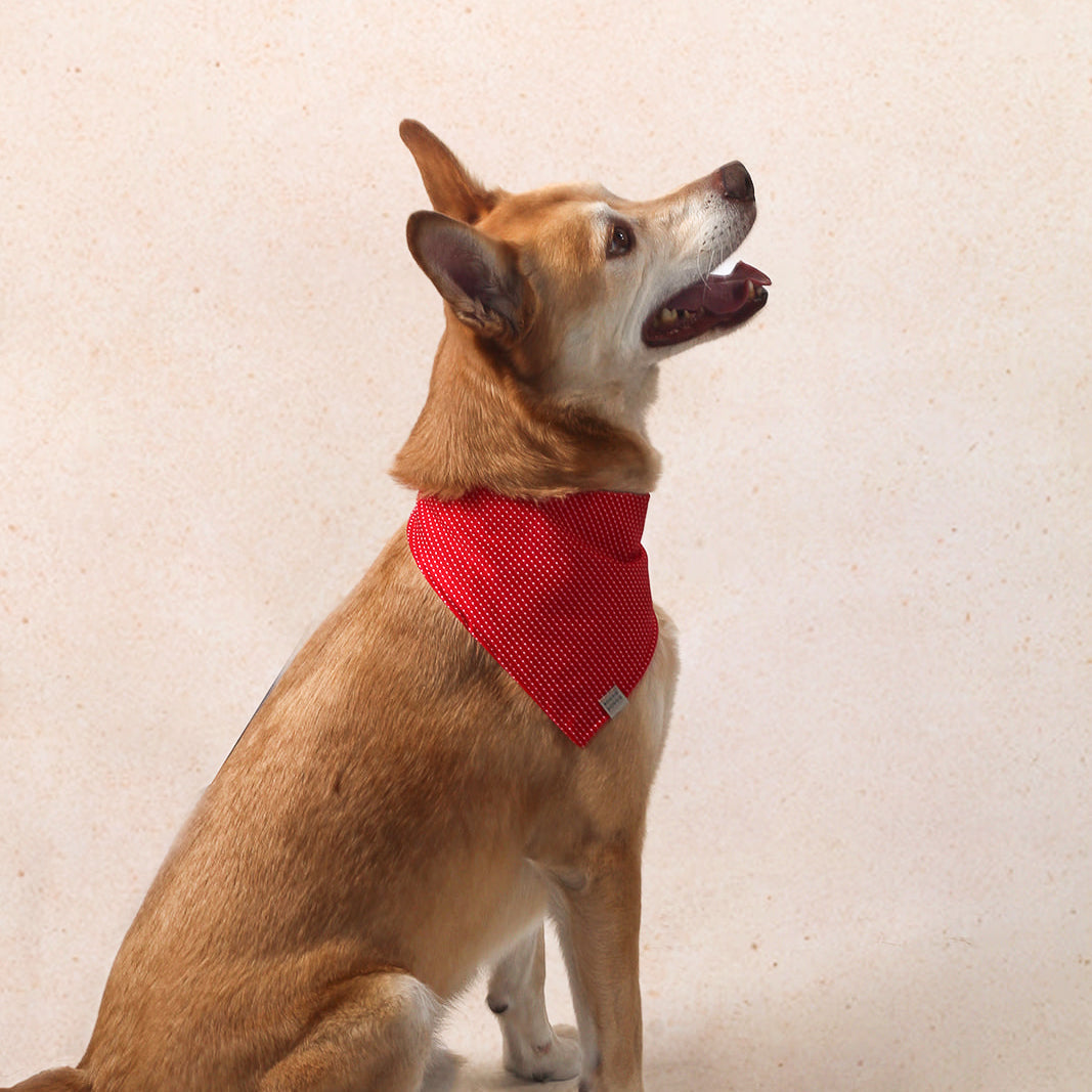 Bandana Roja con Lunares